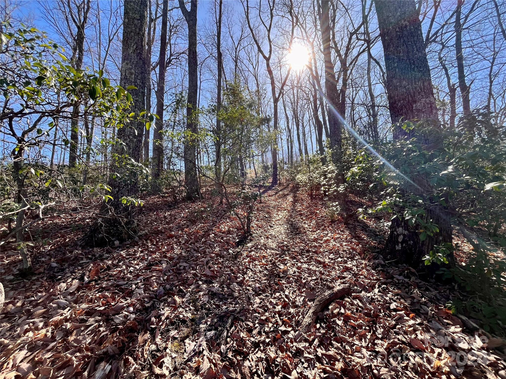 Lot 147 Big View Drive Marion NC 28752