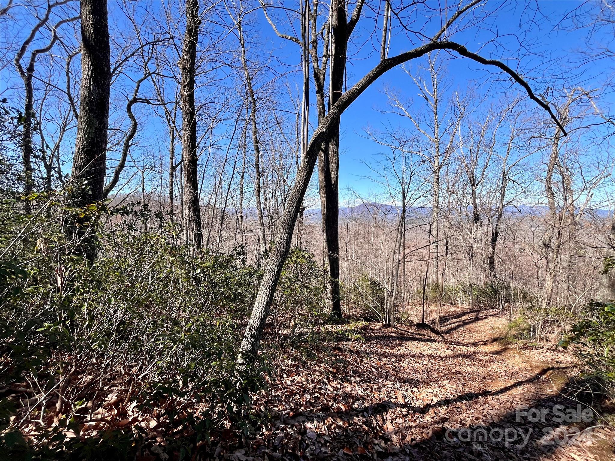 Lot 147 Big View Drive Marion NC 28752