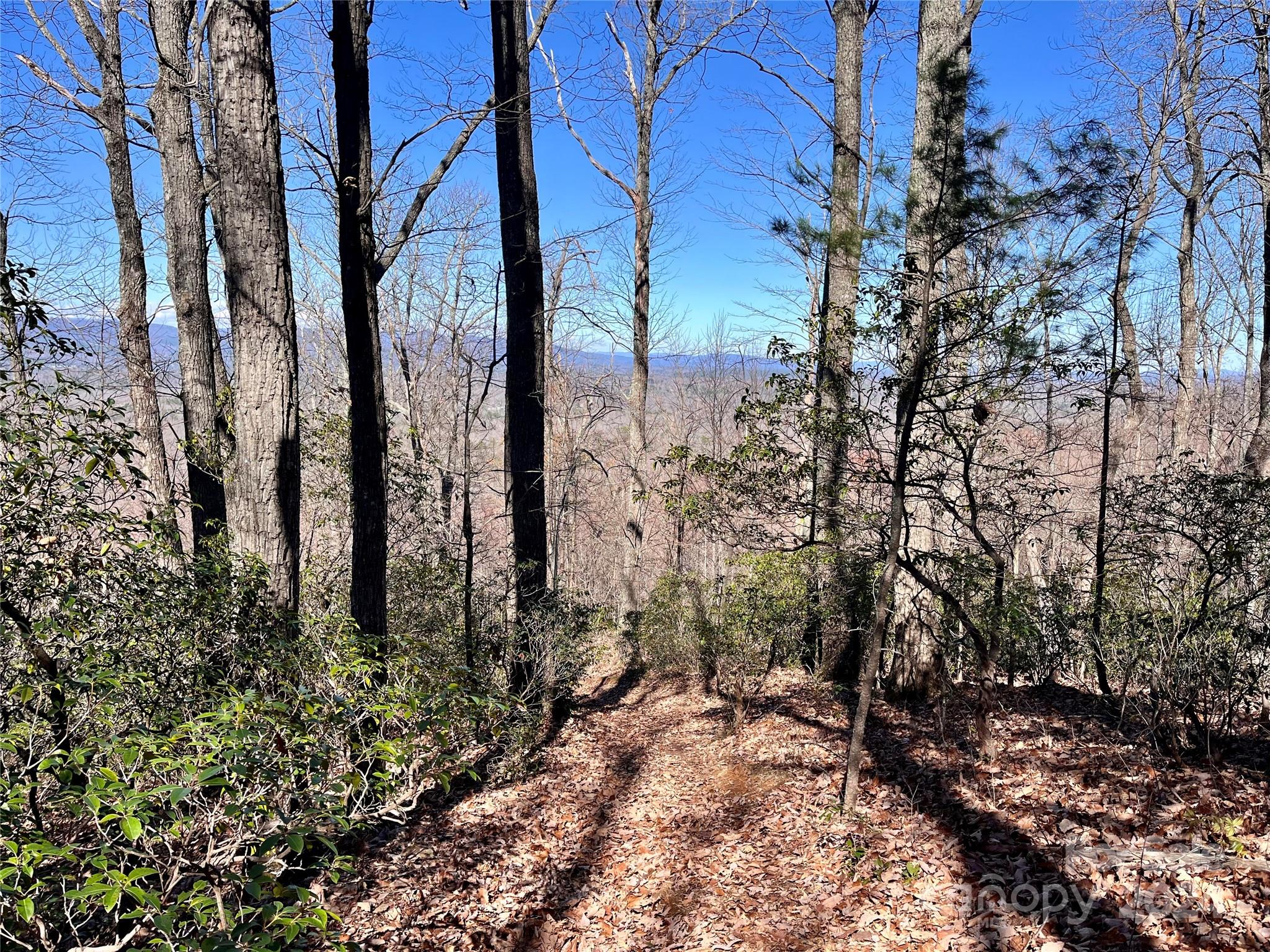 Lot 147 Big View Drive Marion NC 28752