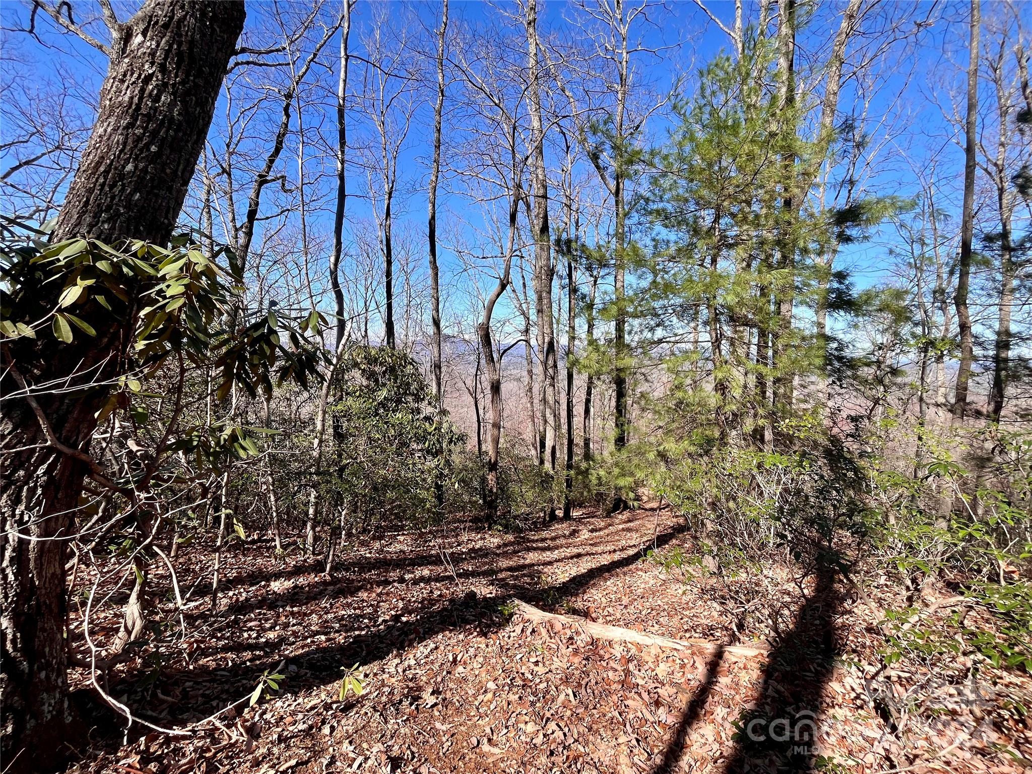 Lot 147 Big View Drive Marion NC 28752