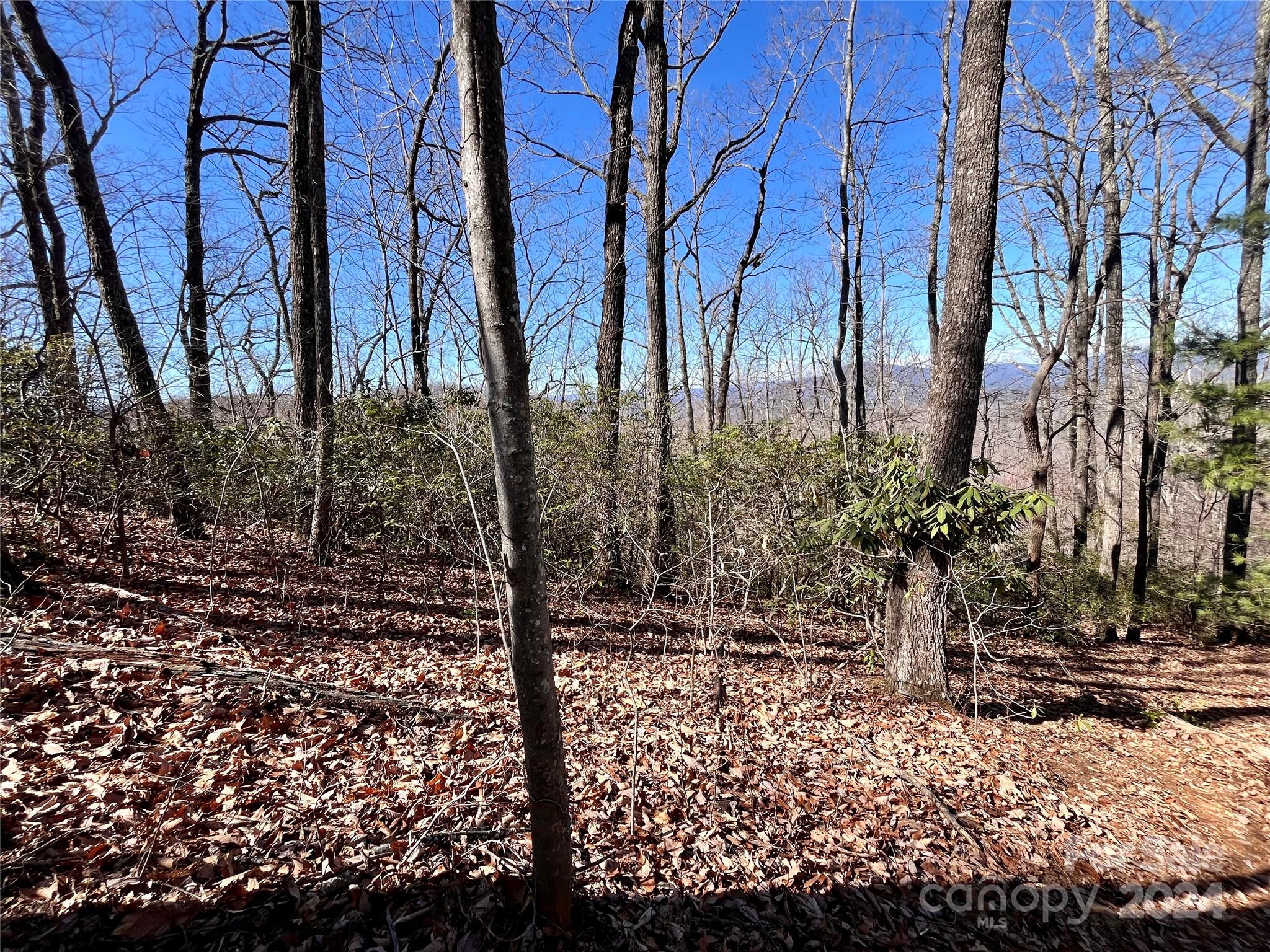 Lot 147 Big View Drive Marion NC 28752