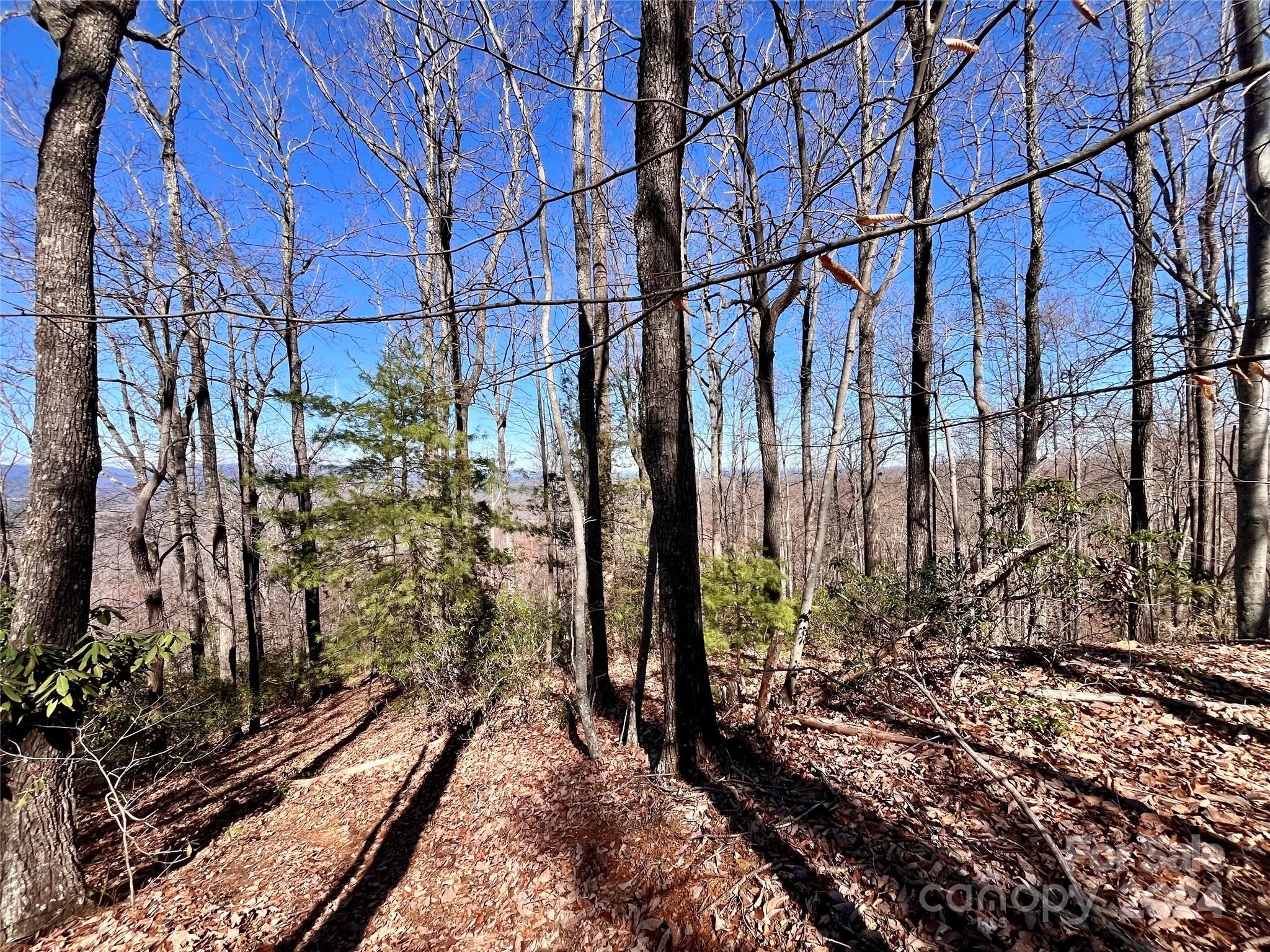 Lot 147 Big View Drive Marion NC 28752