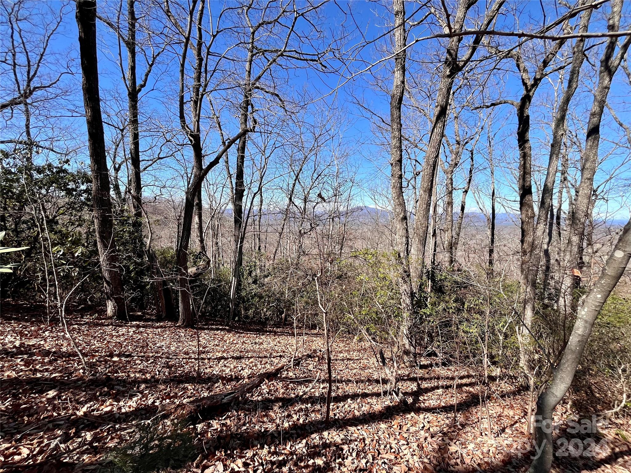 Lot 147 Big View Drive Marion NC 28752
