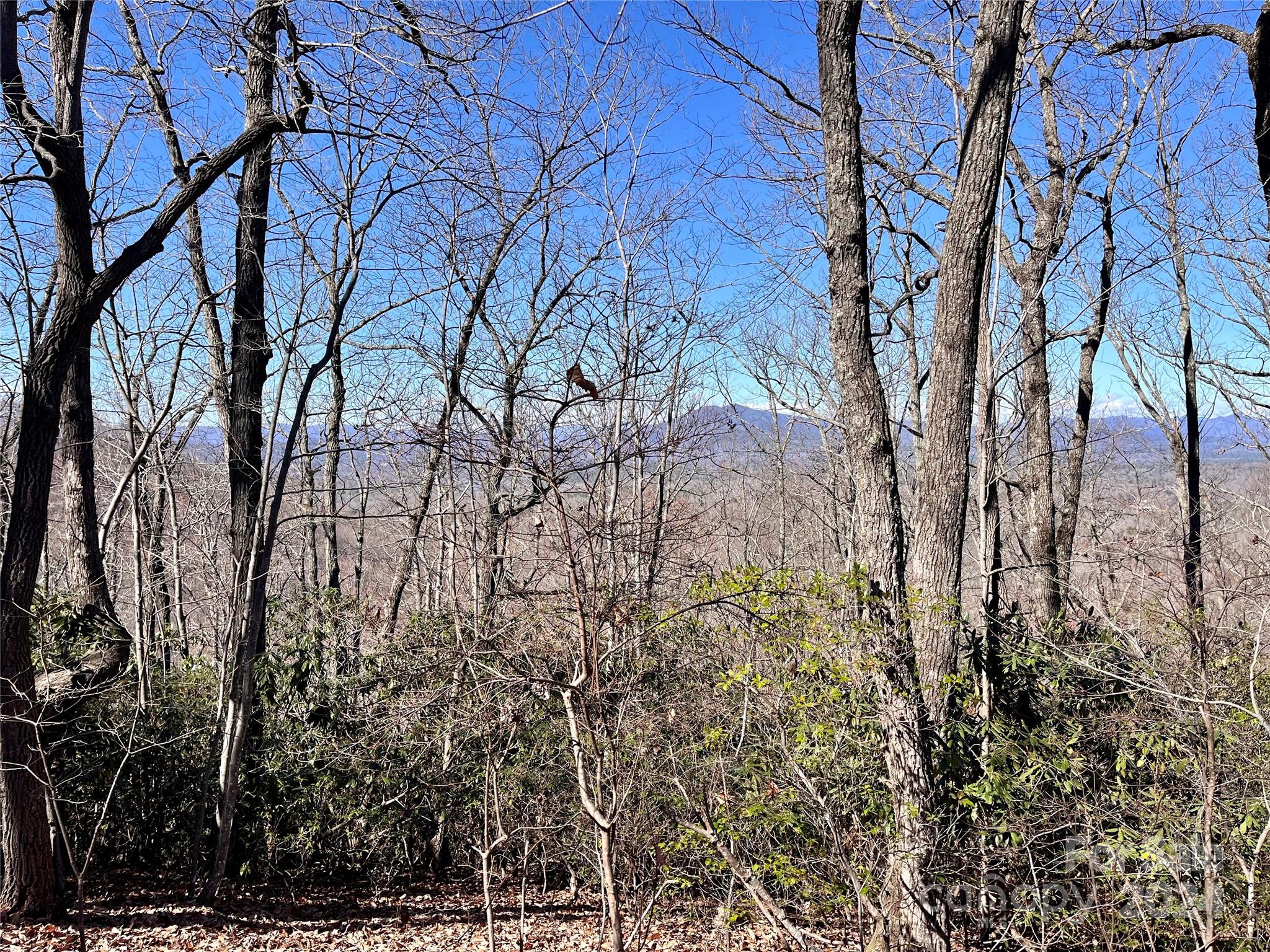 Lot 147 Big View Drive Marion NC 28752