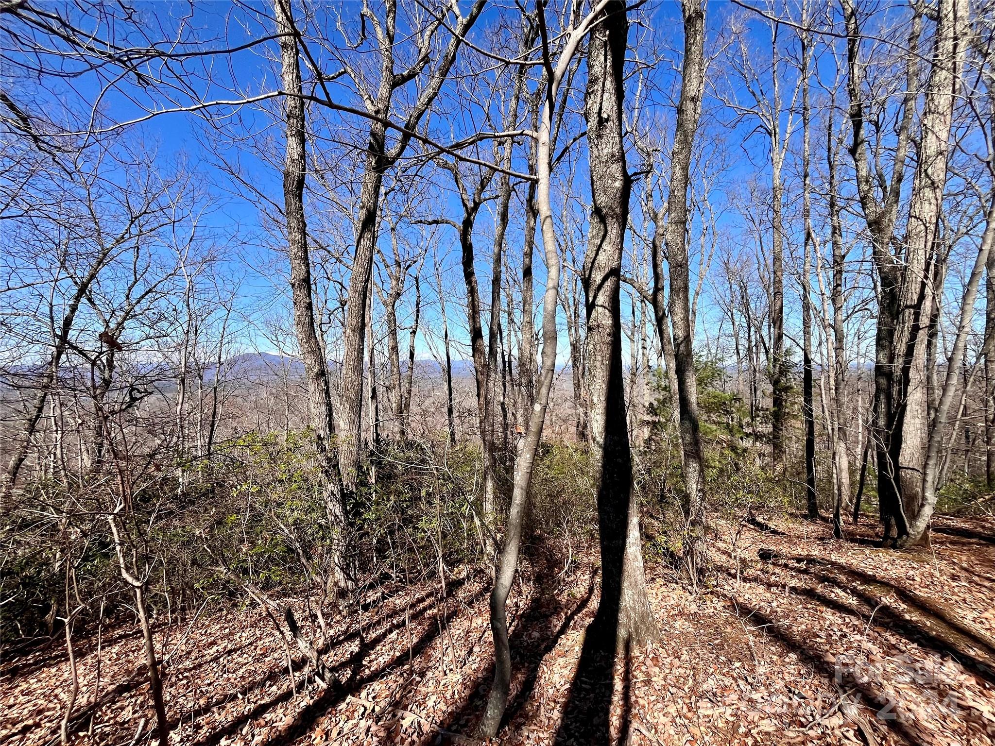 Lot 147 Big View Drive Marion NC 28752