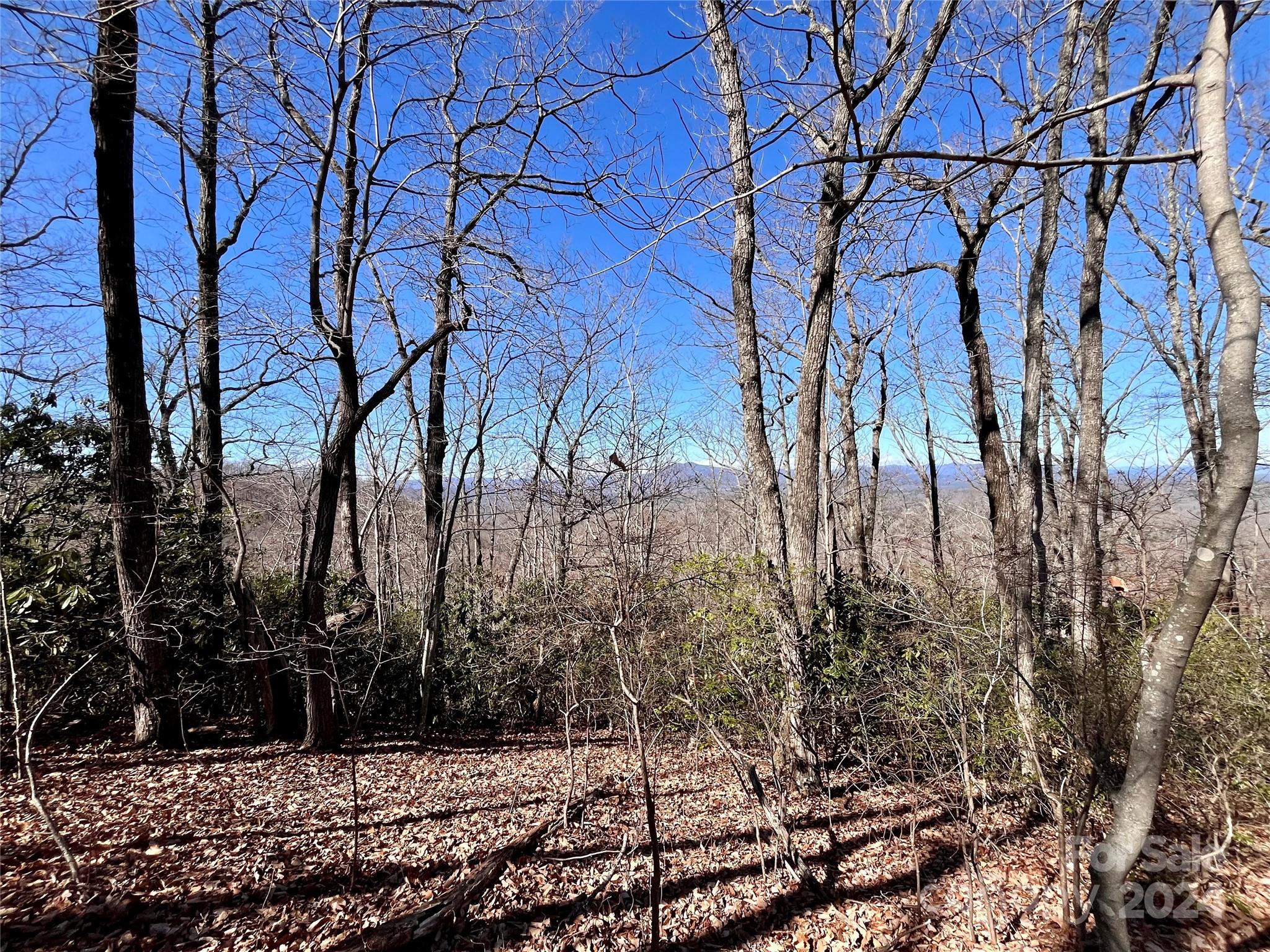 Lot 147 Big View Drive Marion NC 28752