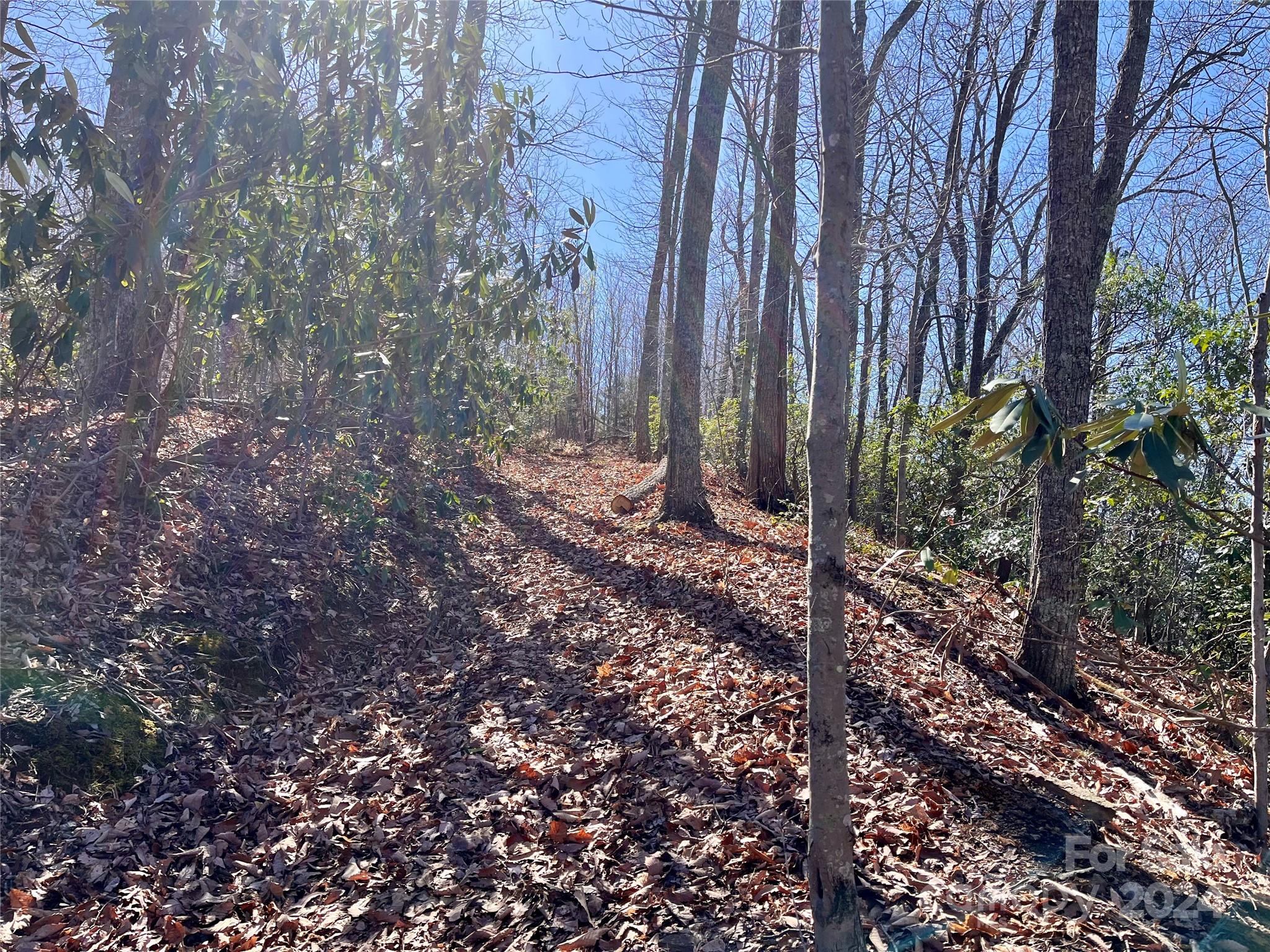 Lot 147 Big View Drive Marion NC 28752
