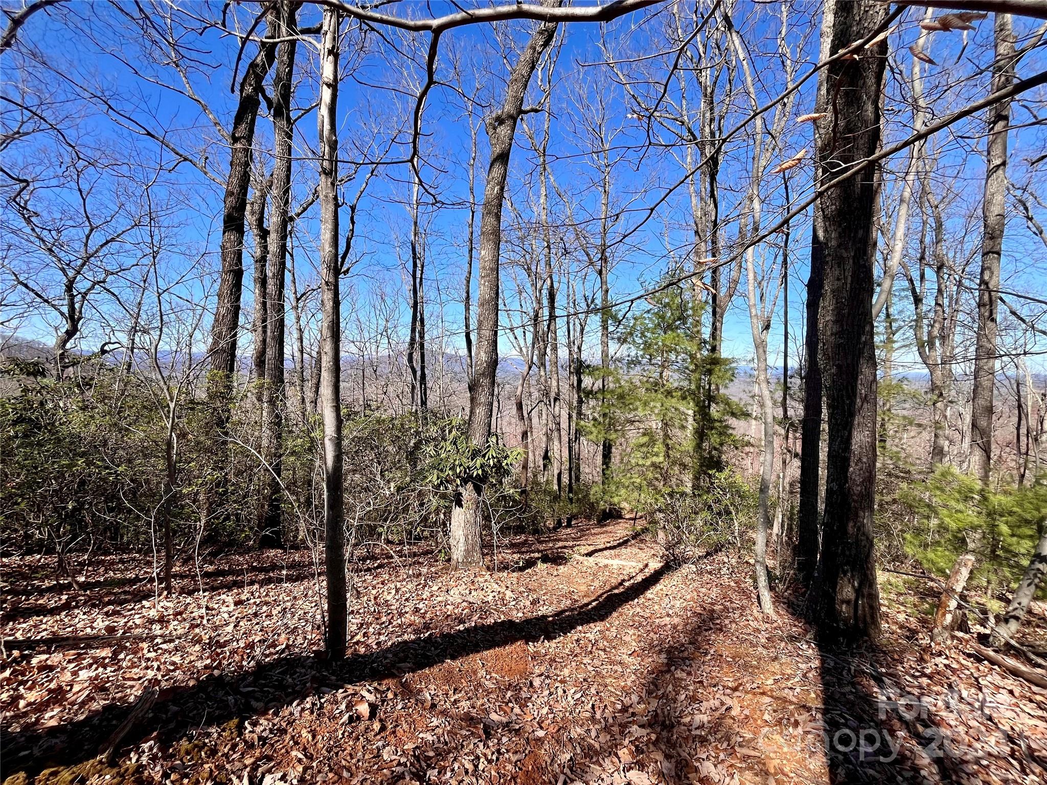 Lot 147 Big View Drive Marion NC 28752