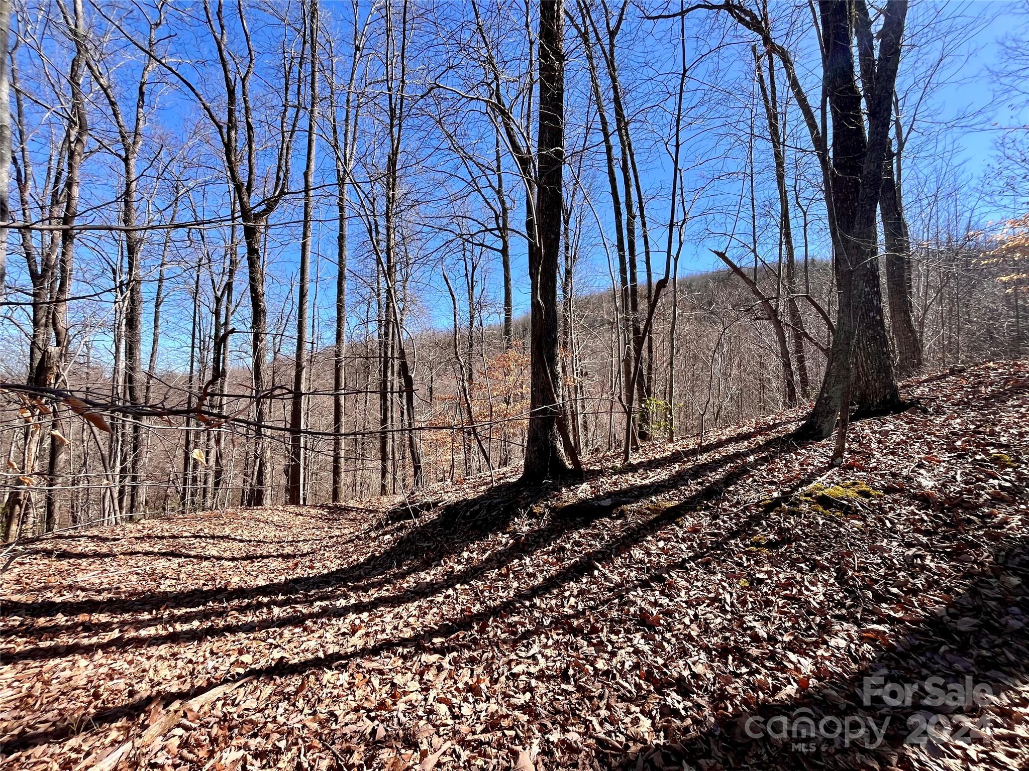 Lot 147 Big View Drive Marion NC 28752