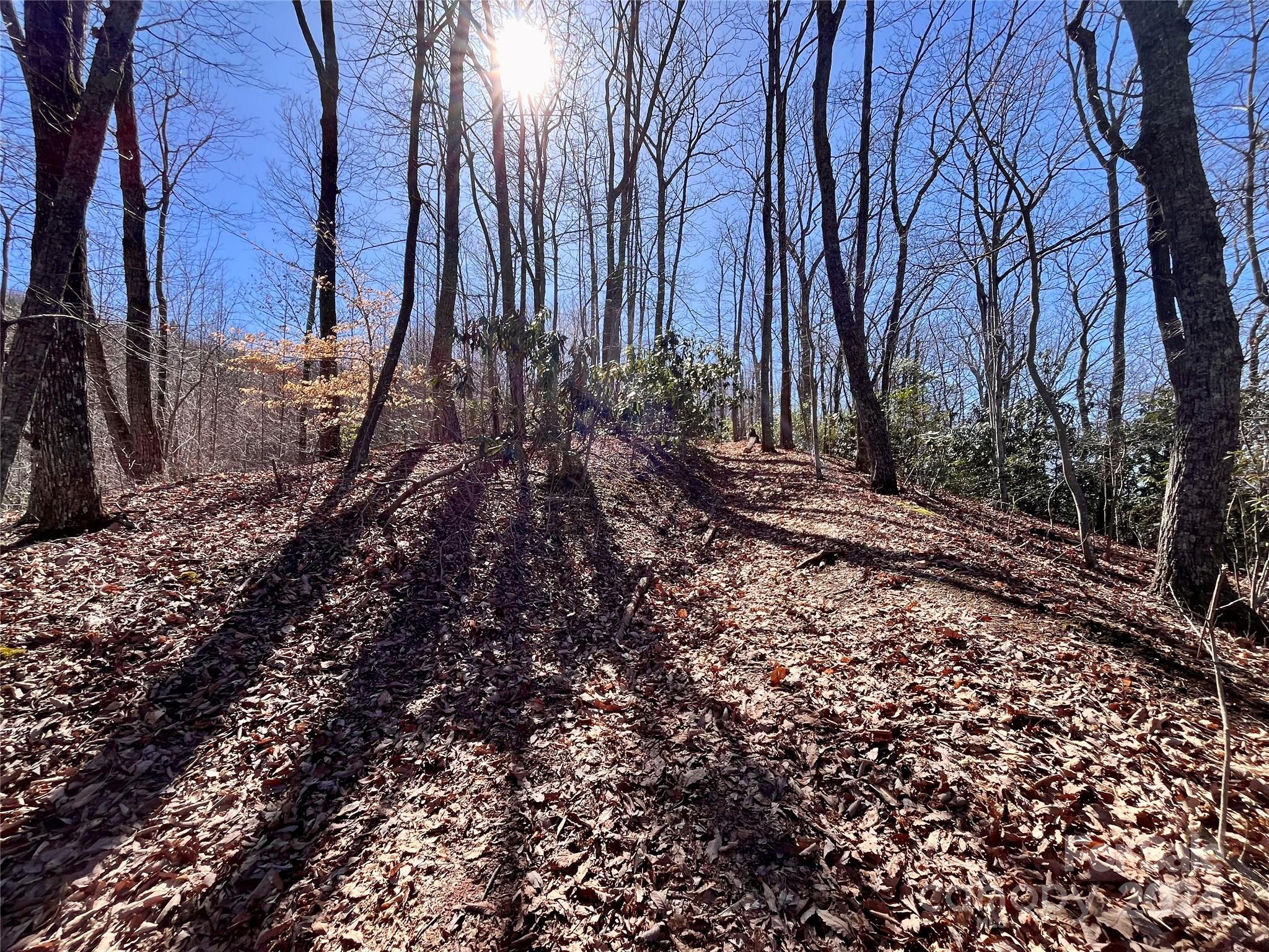 Lot 147 Big View Drive Marion NC 28752