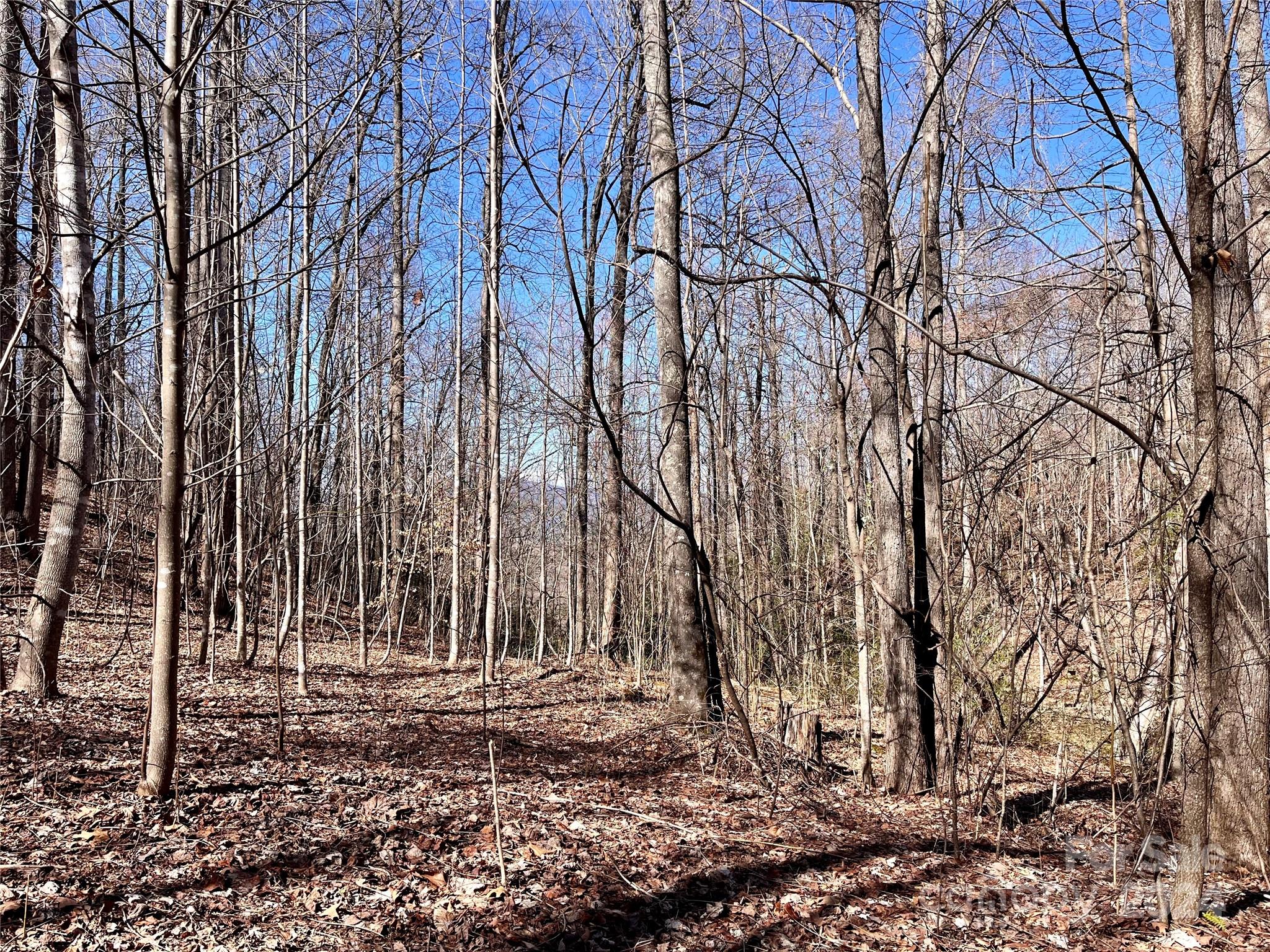 Lot 147 Big View Drive Marion NC 28752