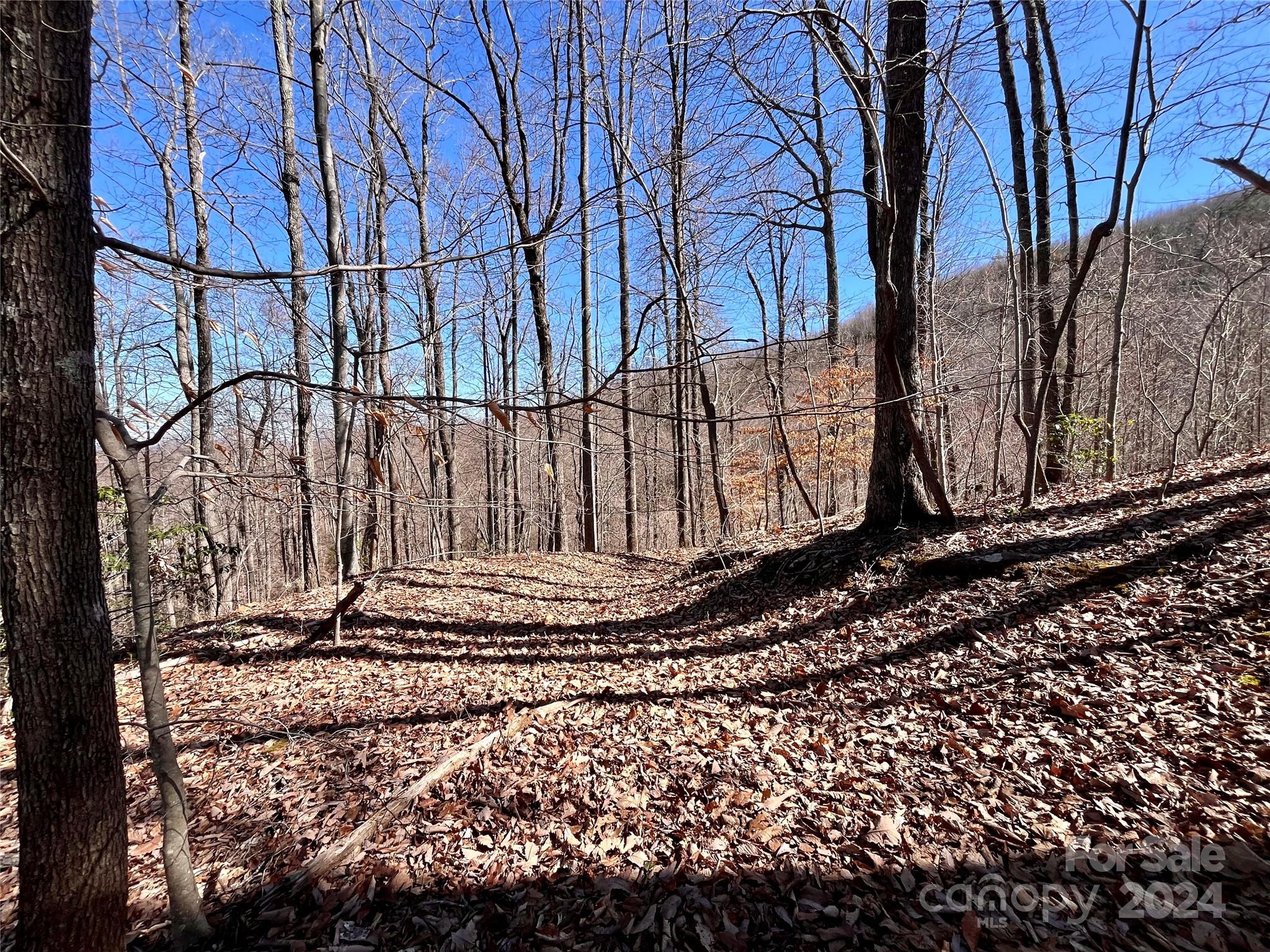 Lot 147 Big View Drive Marion NC 28752