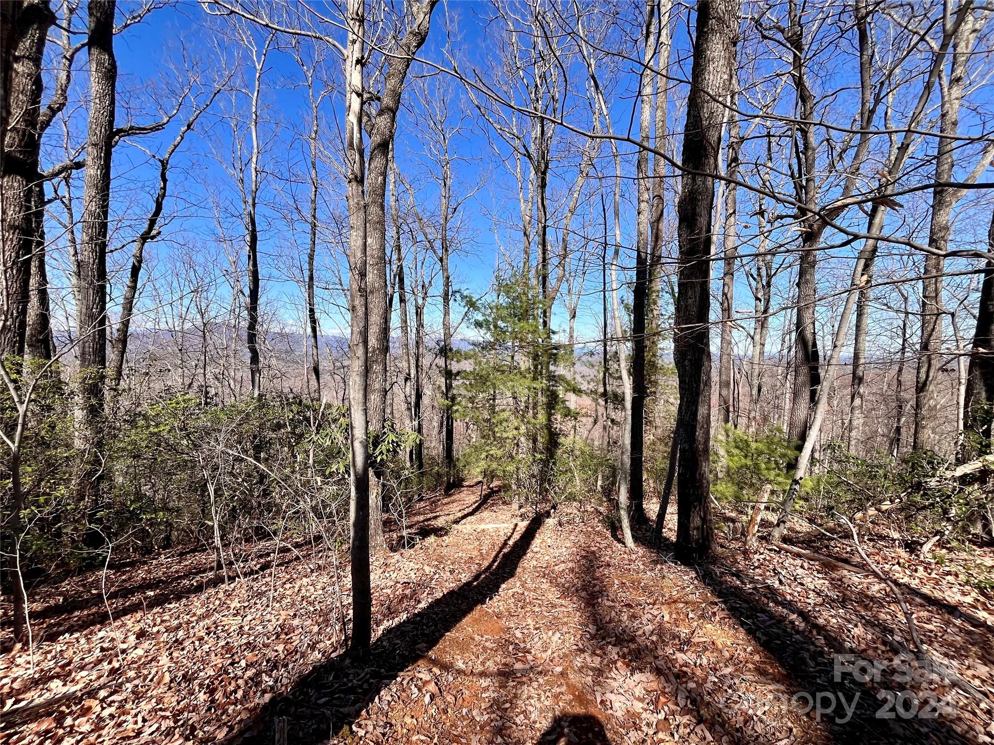 Lot 147 Big View Drive Marion NC 28752