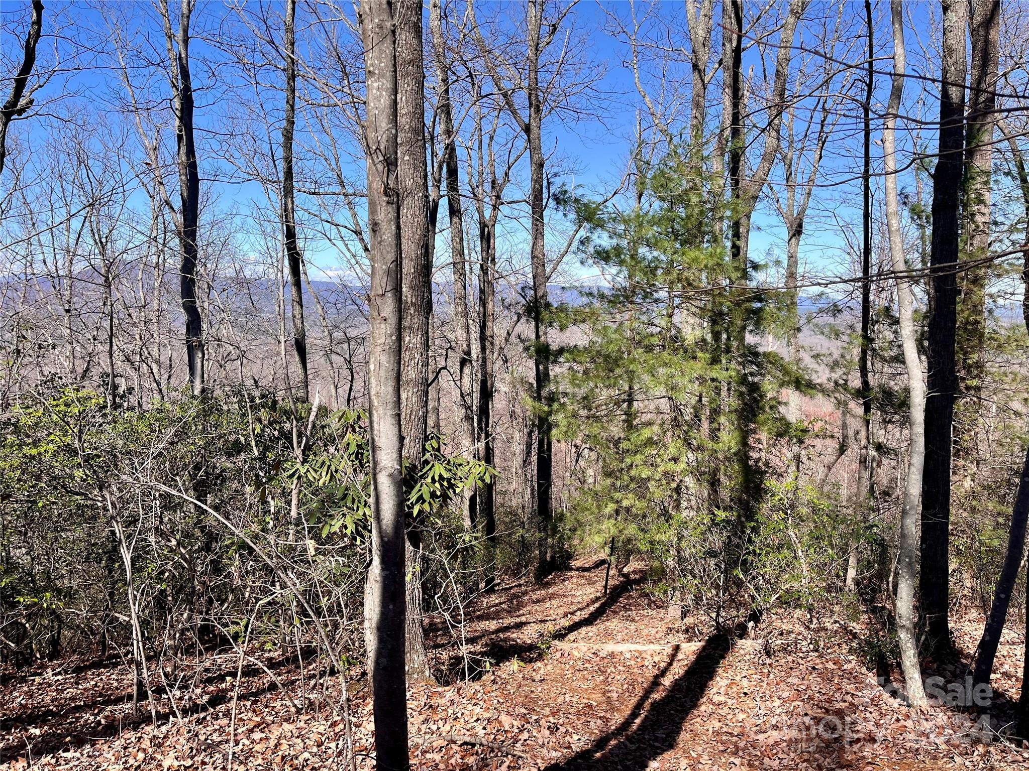 Lot 147 Big View Drive Marion NC 28752