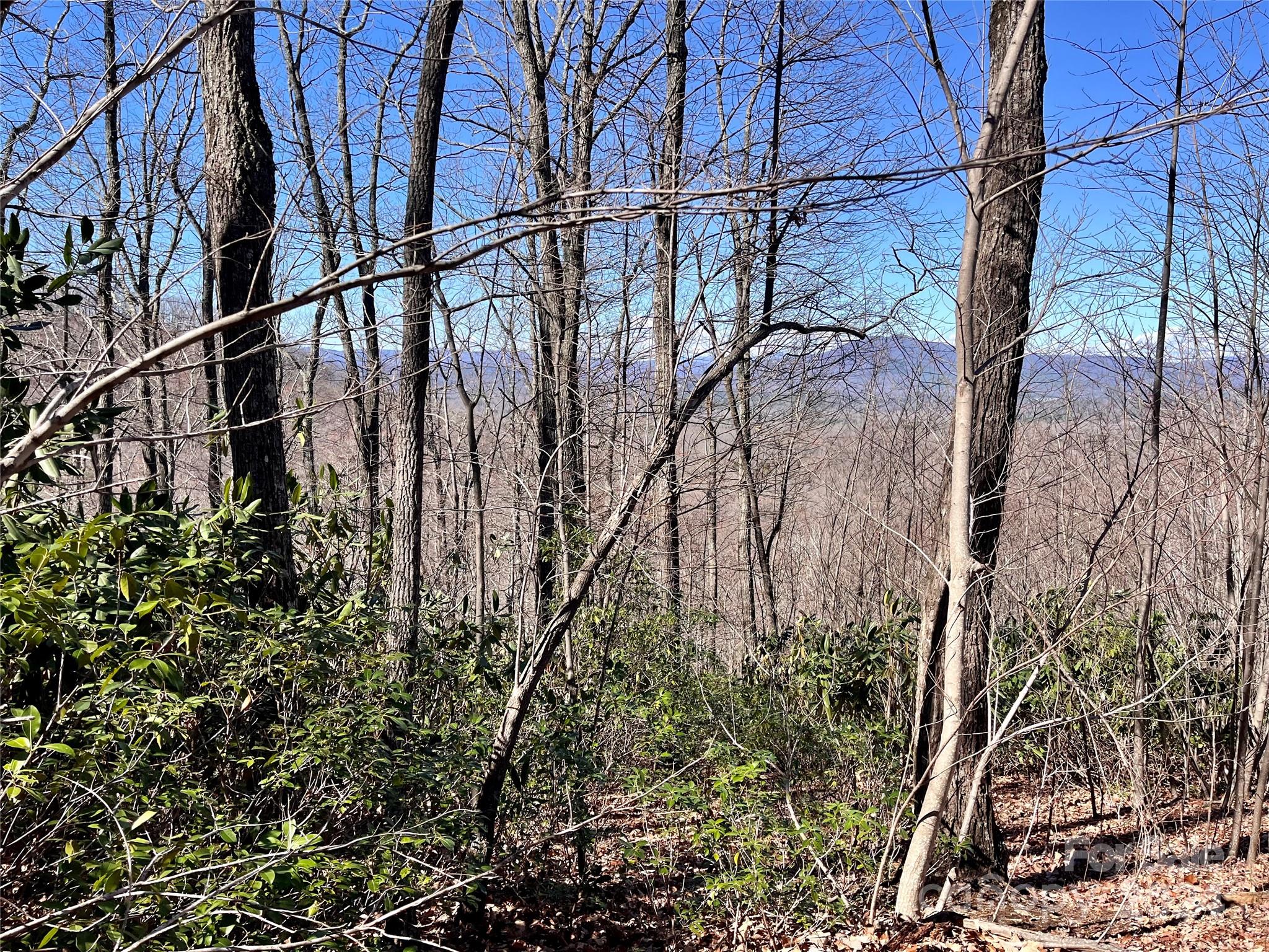 Lot 147 Big View Drive Marion NC 28752