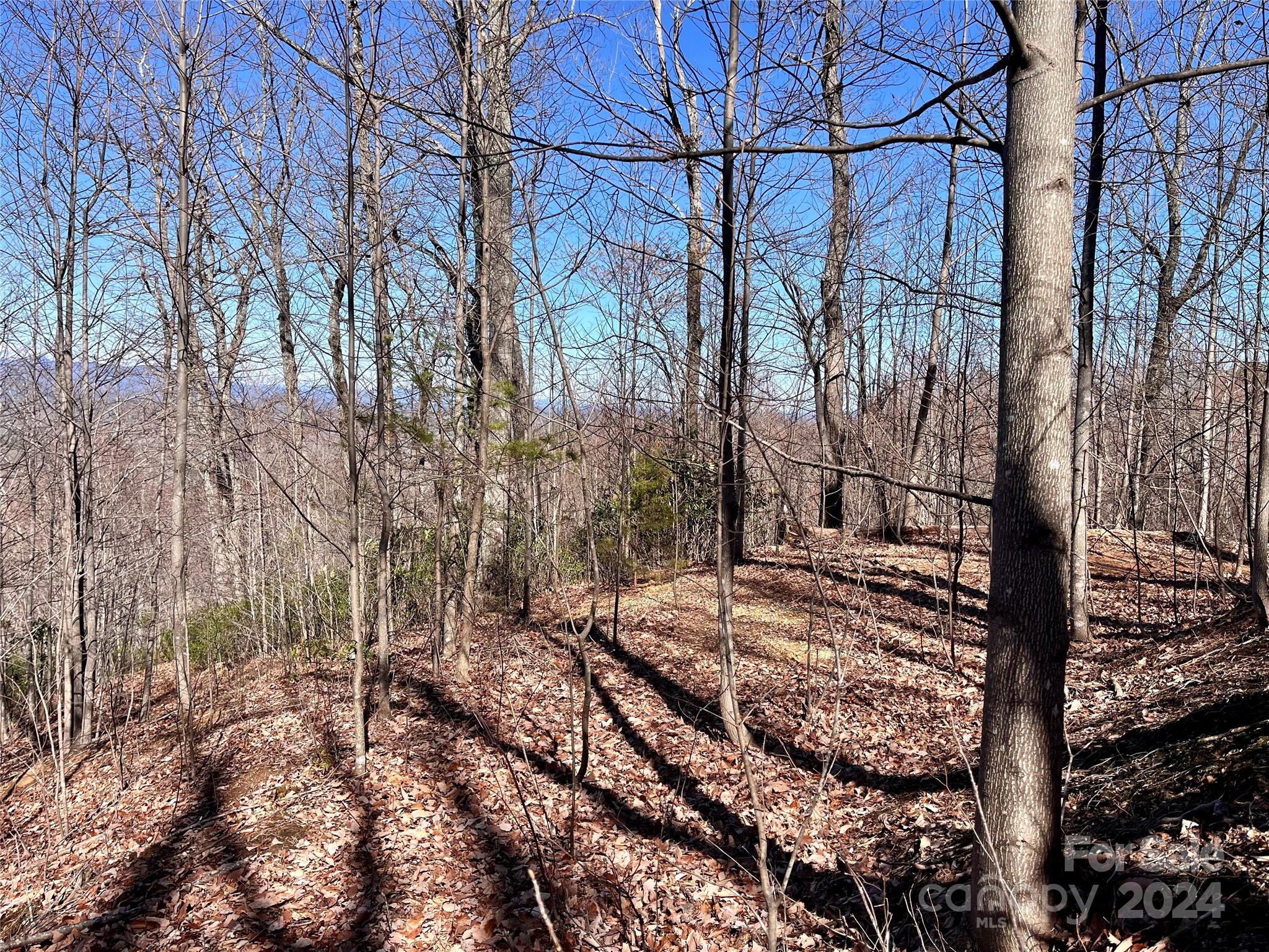 Lot 147 Big View Drive Marion NC 28752