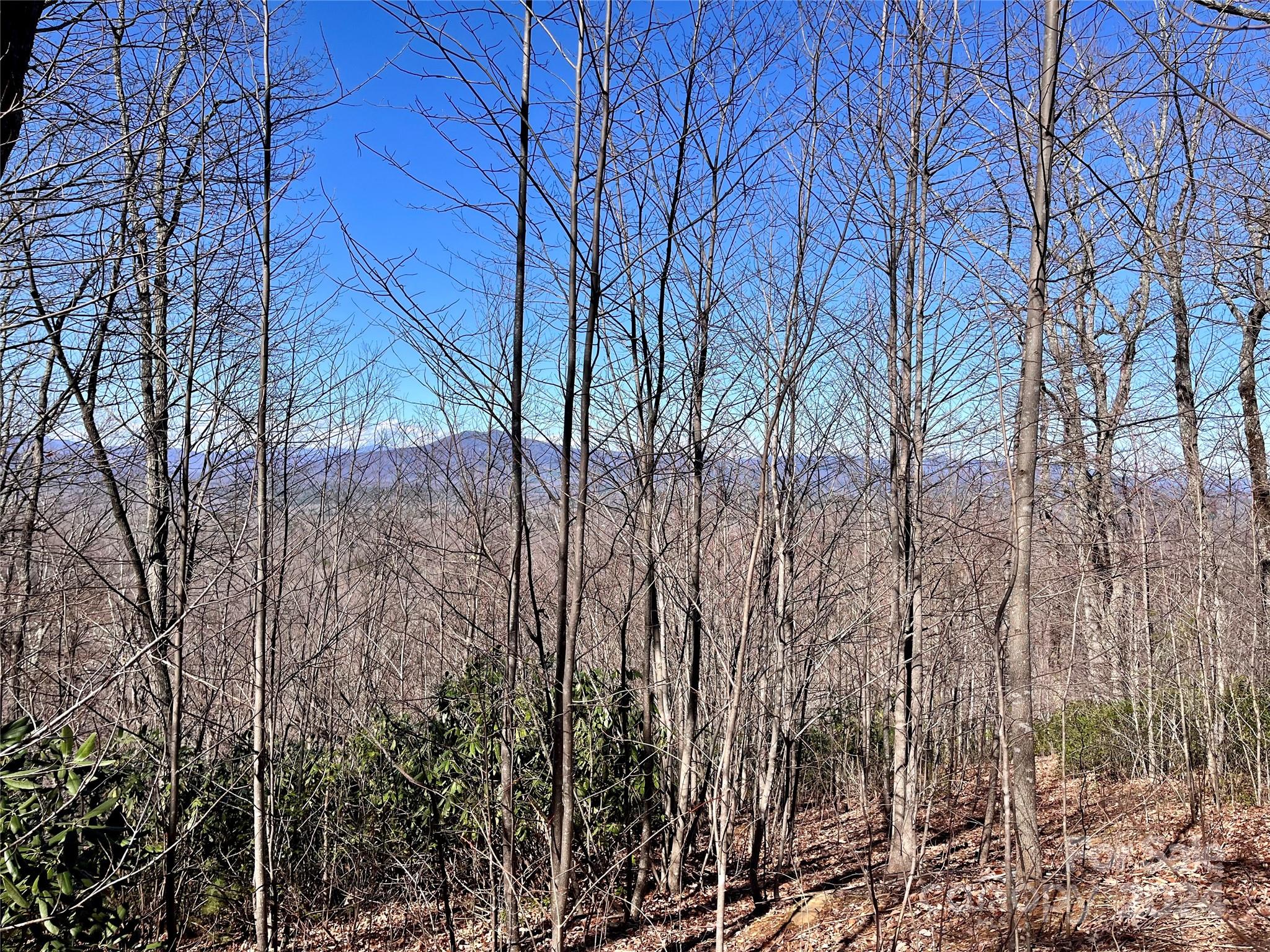 Lot 147 Big View Drive Marion NC 28752