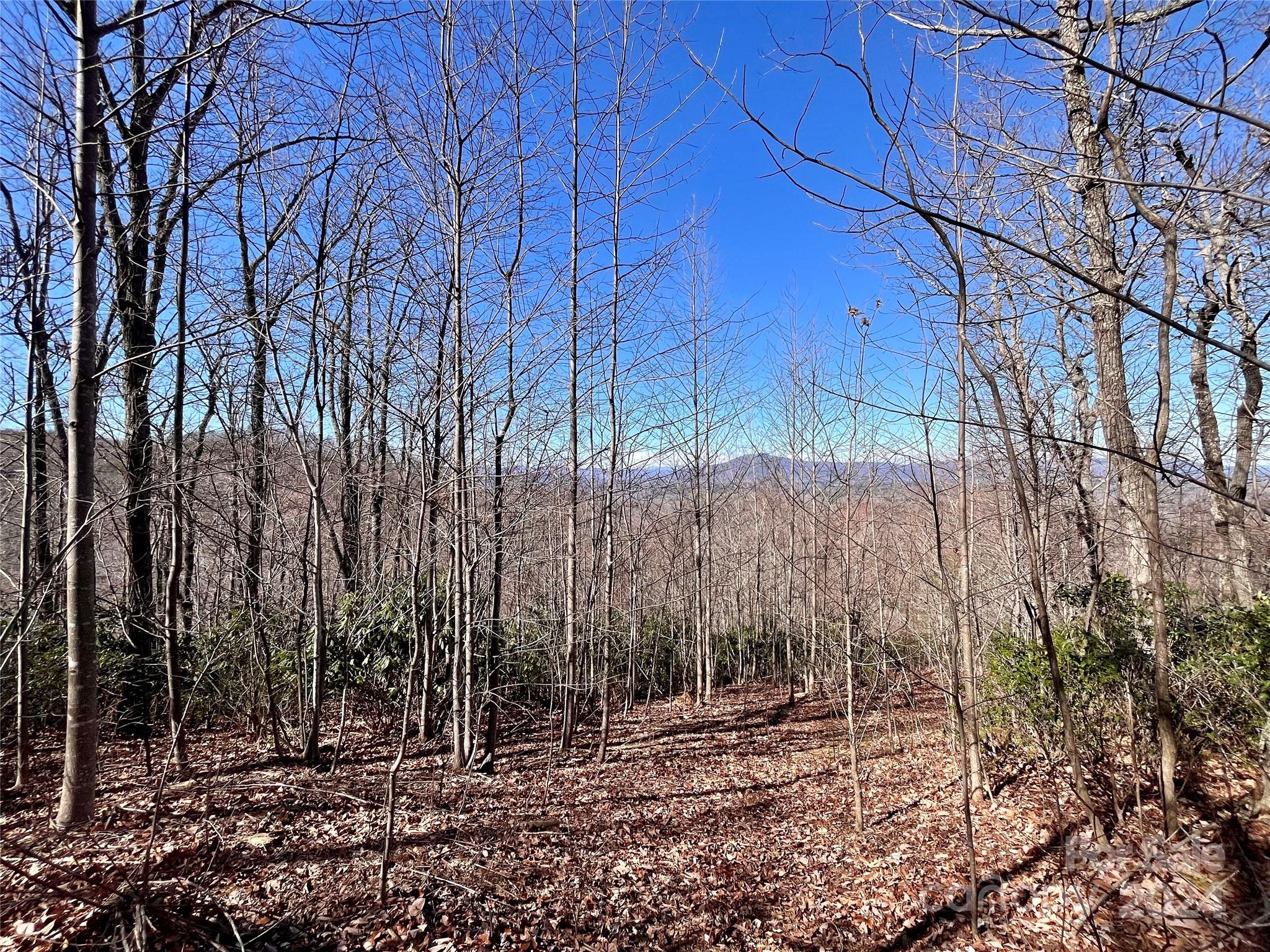 Lot 147 Big View Drive Marion NC 28752