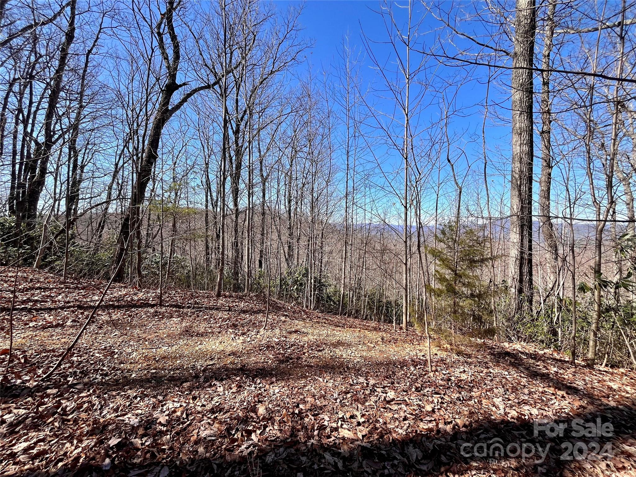 Lot 147 Big View Drive Marion NC 28752