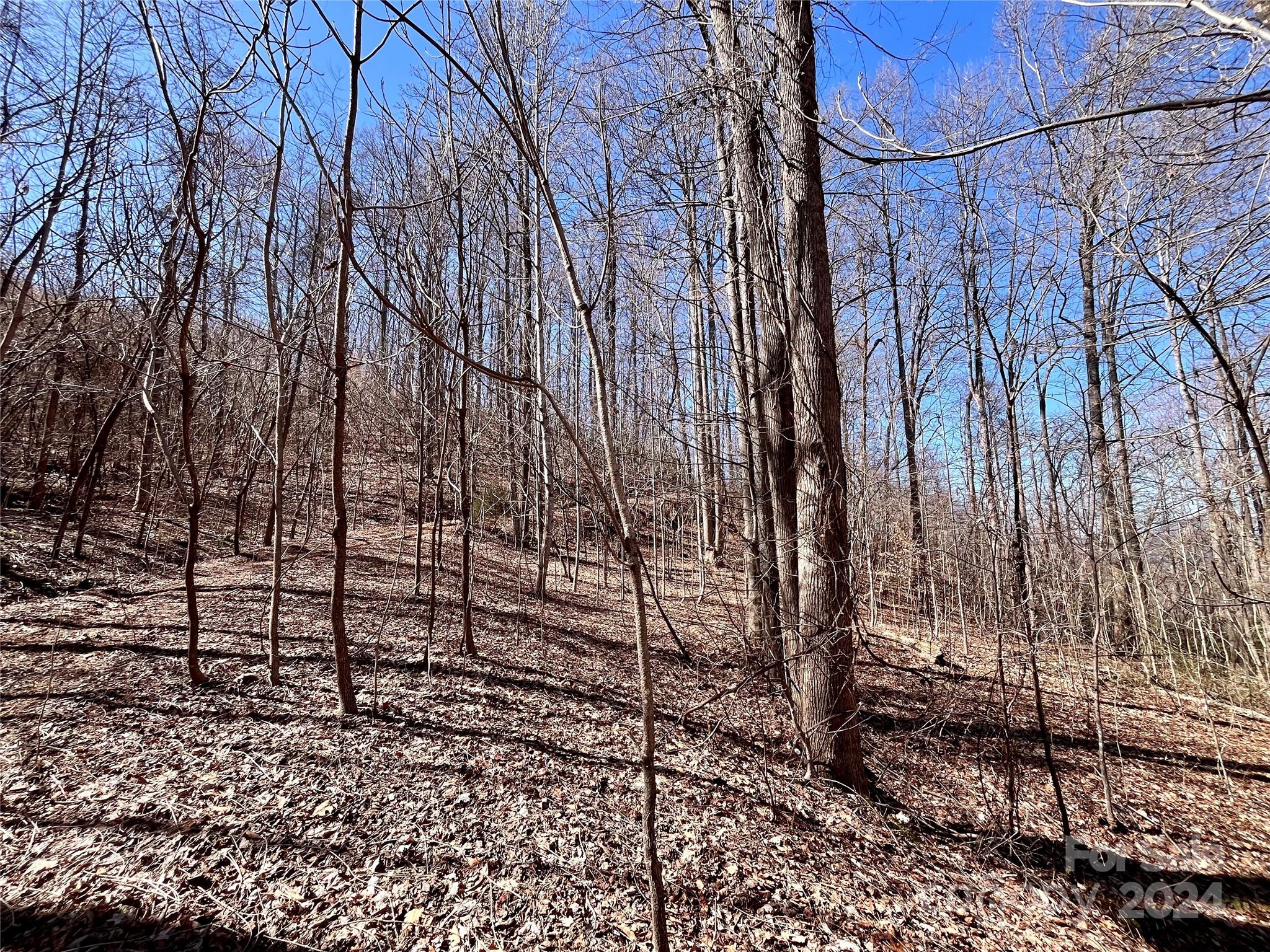 Lot 147 Big View Drive Marion NC 28752