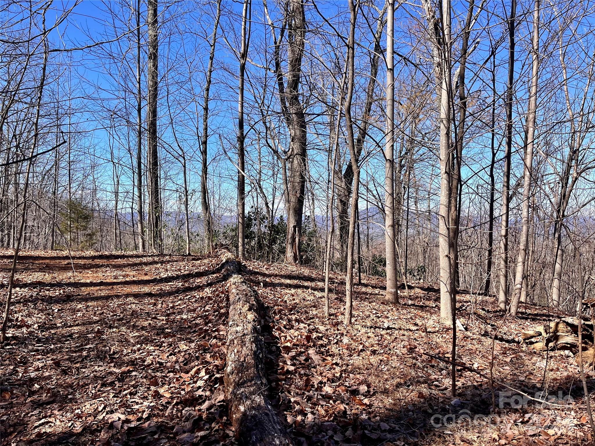 Lot 147 Big View Drive Marion NC 28752