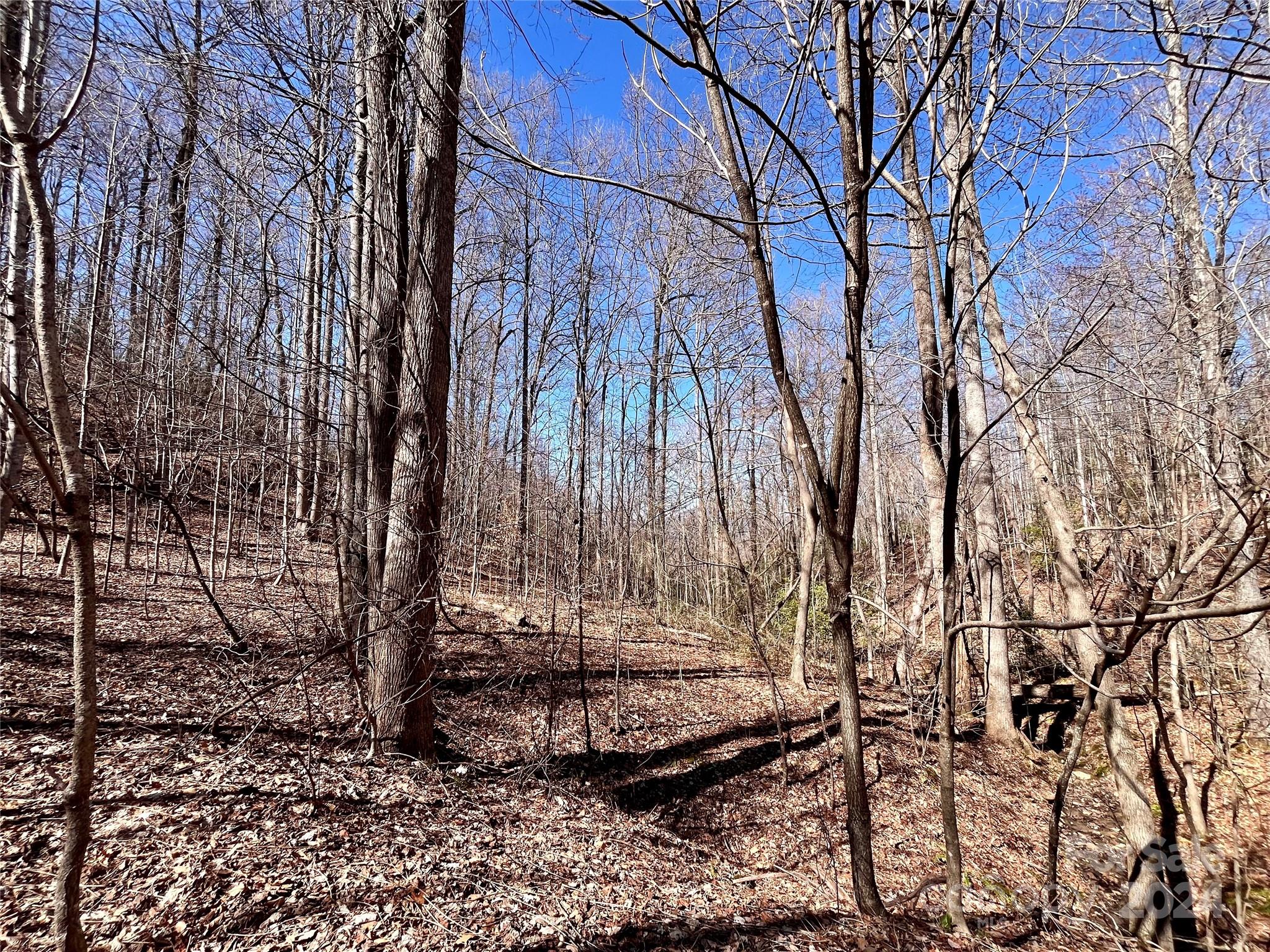 Lot 147 Big View Drive Marion NC 28752