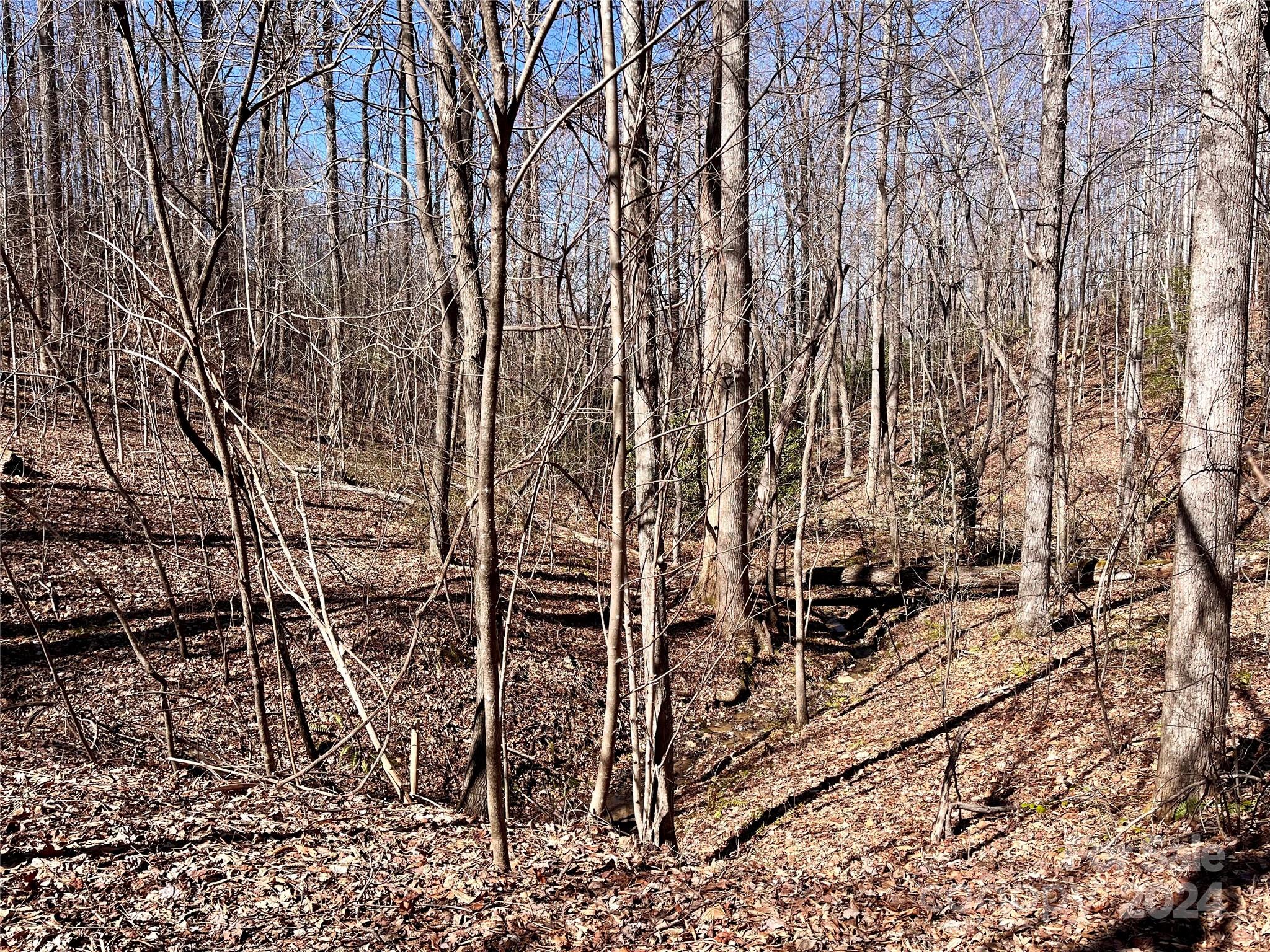 Lot 147 Big View Drive Marion NC 28752