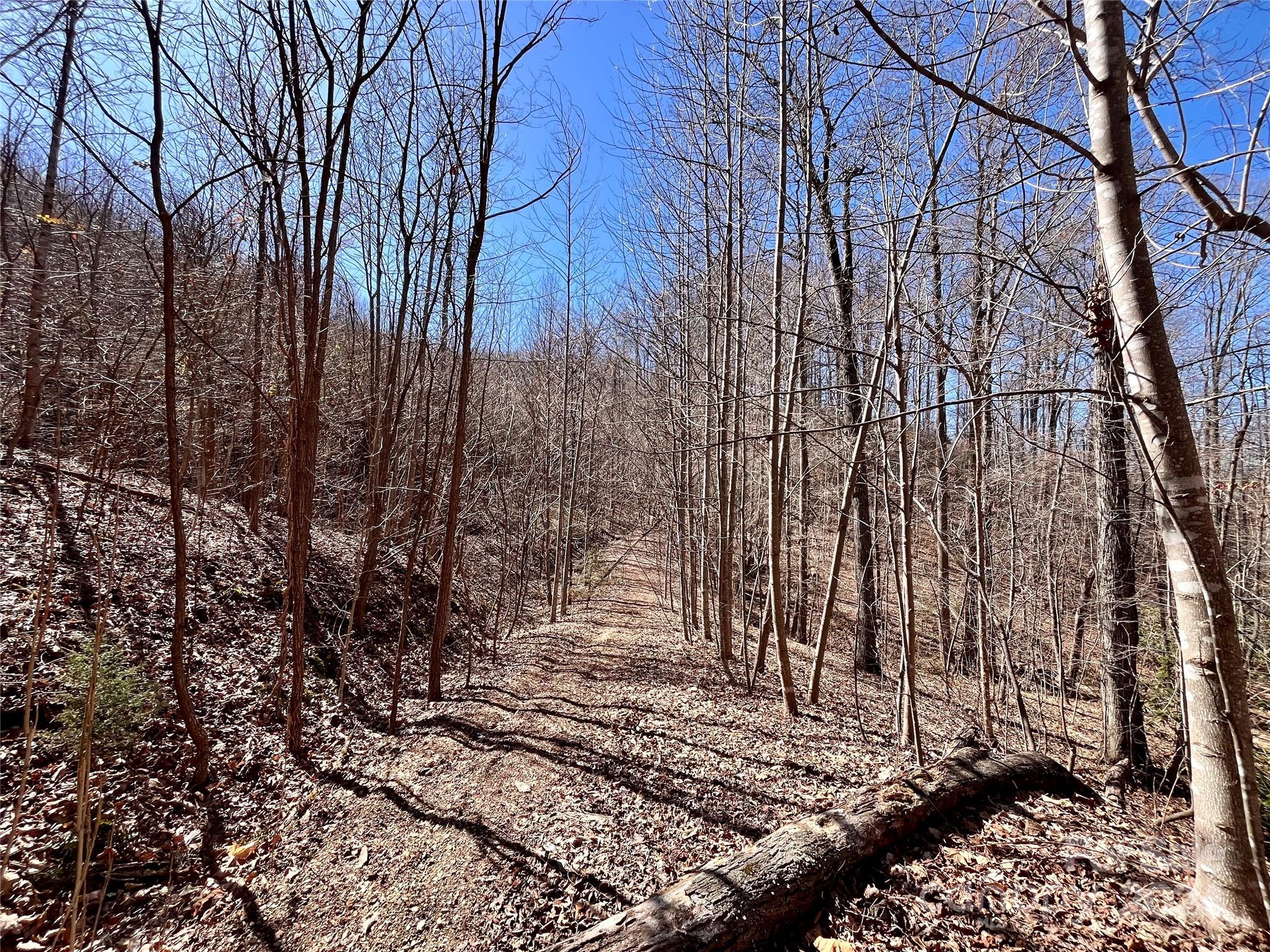 Lot 147 Big View Drive Marion NC 28752
