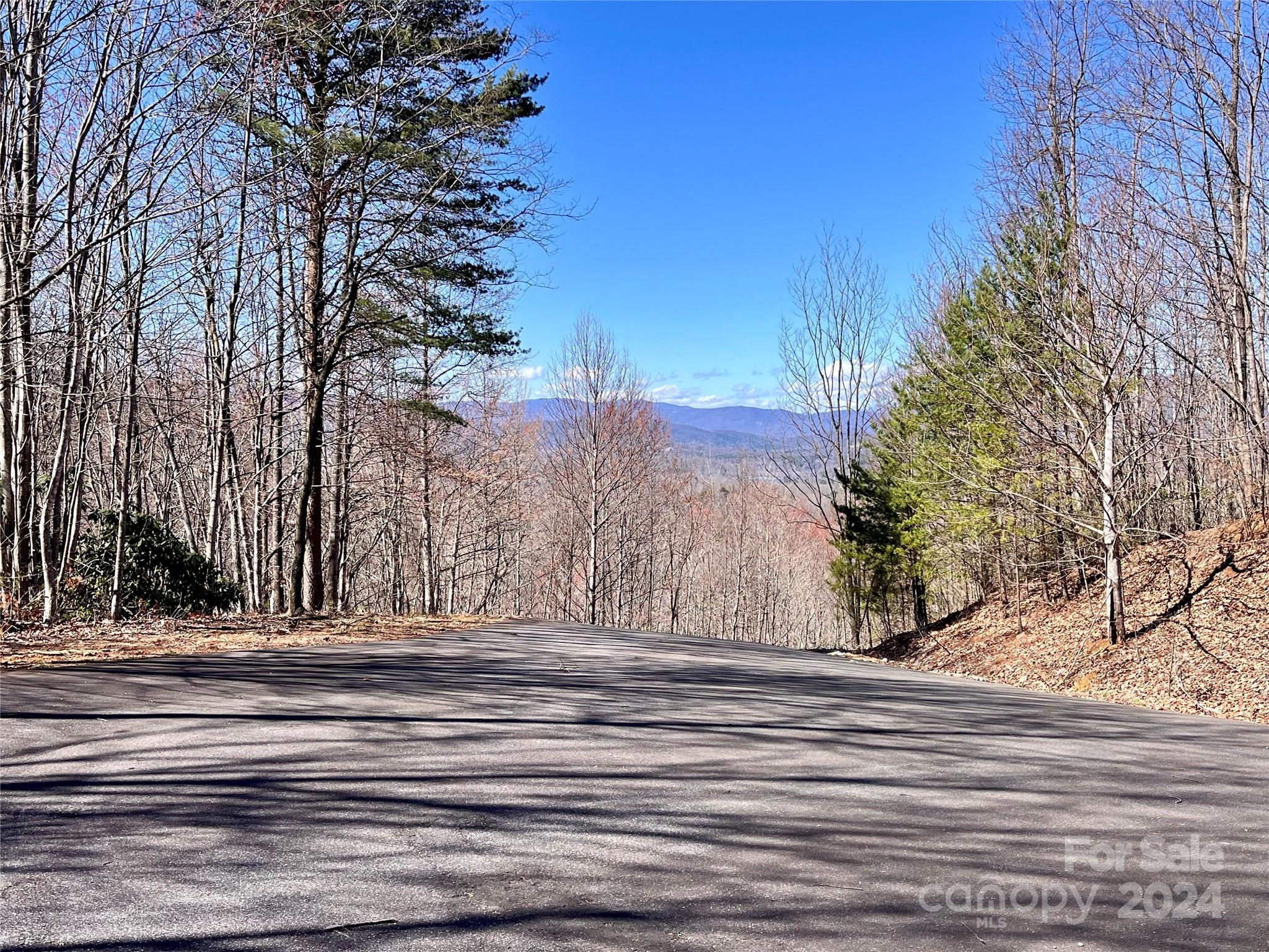 Lot 147 Big View Drive Marion NC 28752