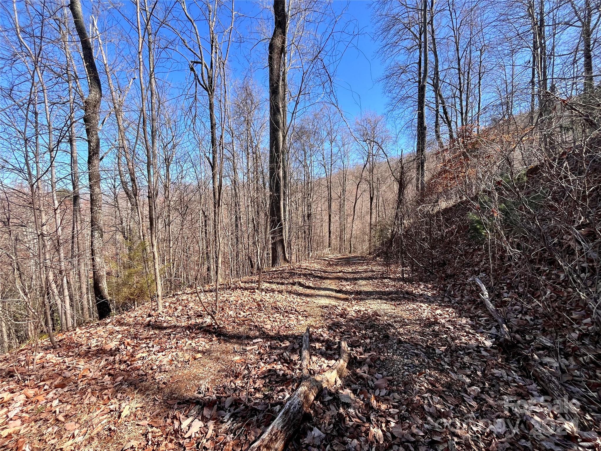 Lot 147 Big View Drive Marion NC 28752