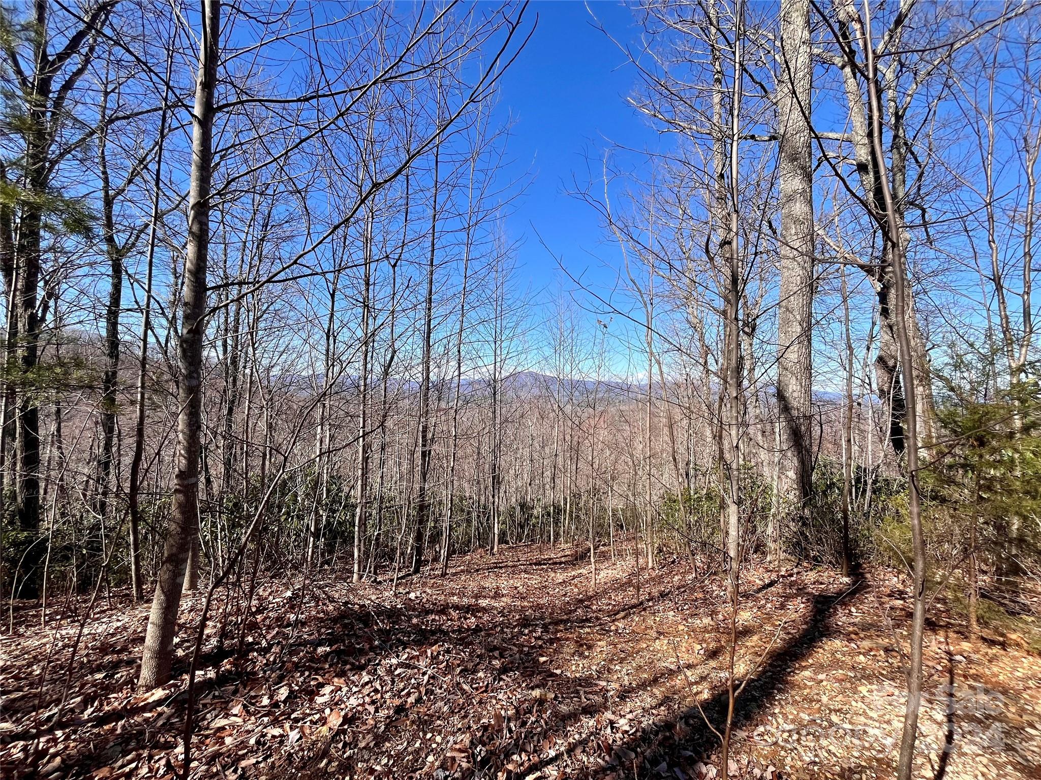 Lot 147 Big View Drive Marion NC 28752