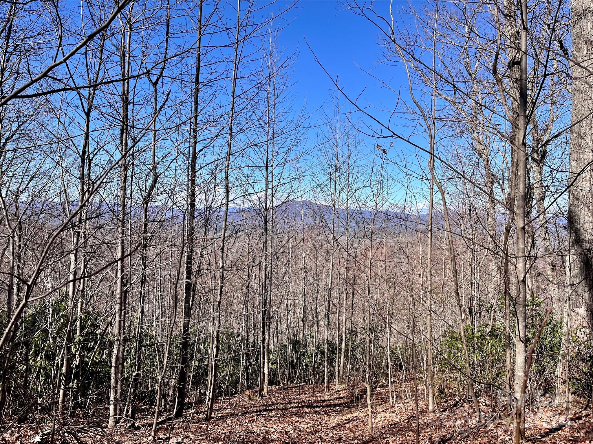 Lot 147 Big View Drive Marion NC 28752