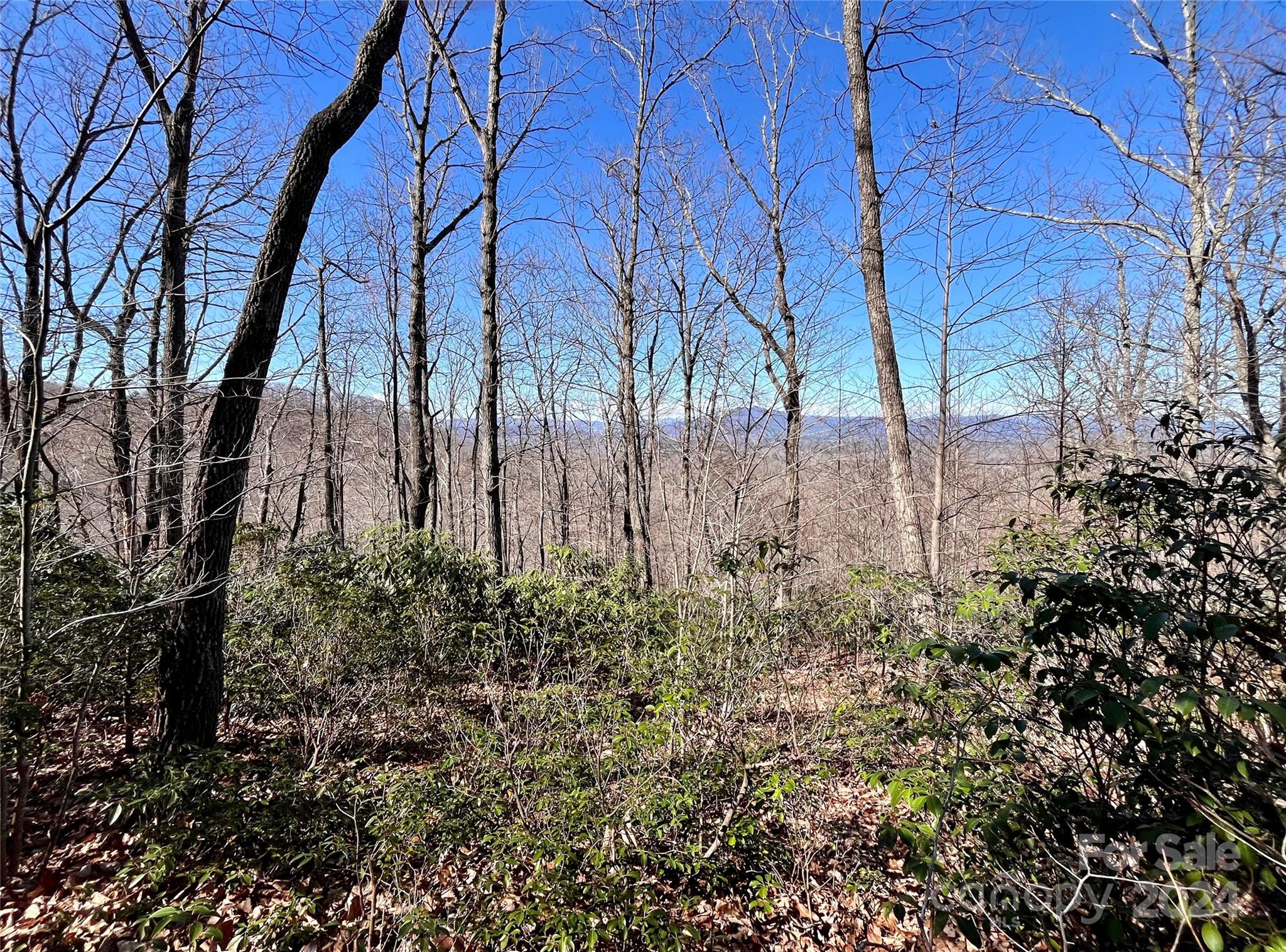 Lot 147 Big View Drive Marion NC 28752