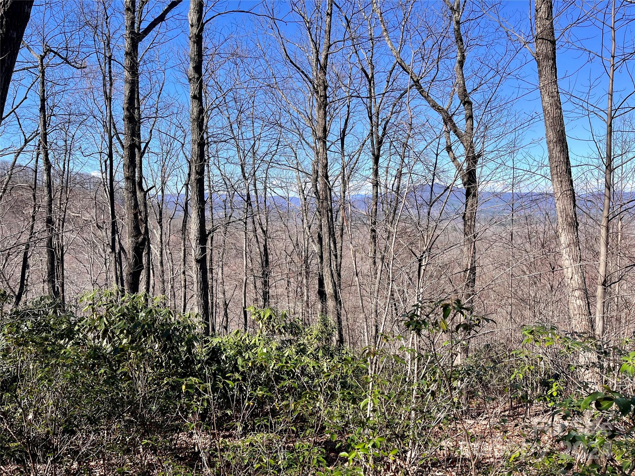 Lot 147 Big View Drive Marion NC 28752