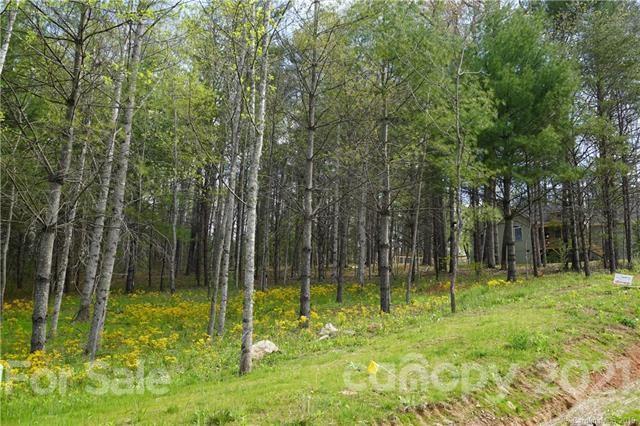 130 Clay Street Fairview NC 28730