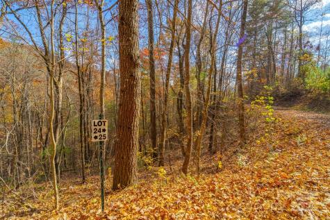 Lot 24 Rivers Edge Road Franklin NC 28734