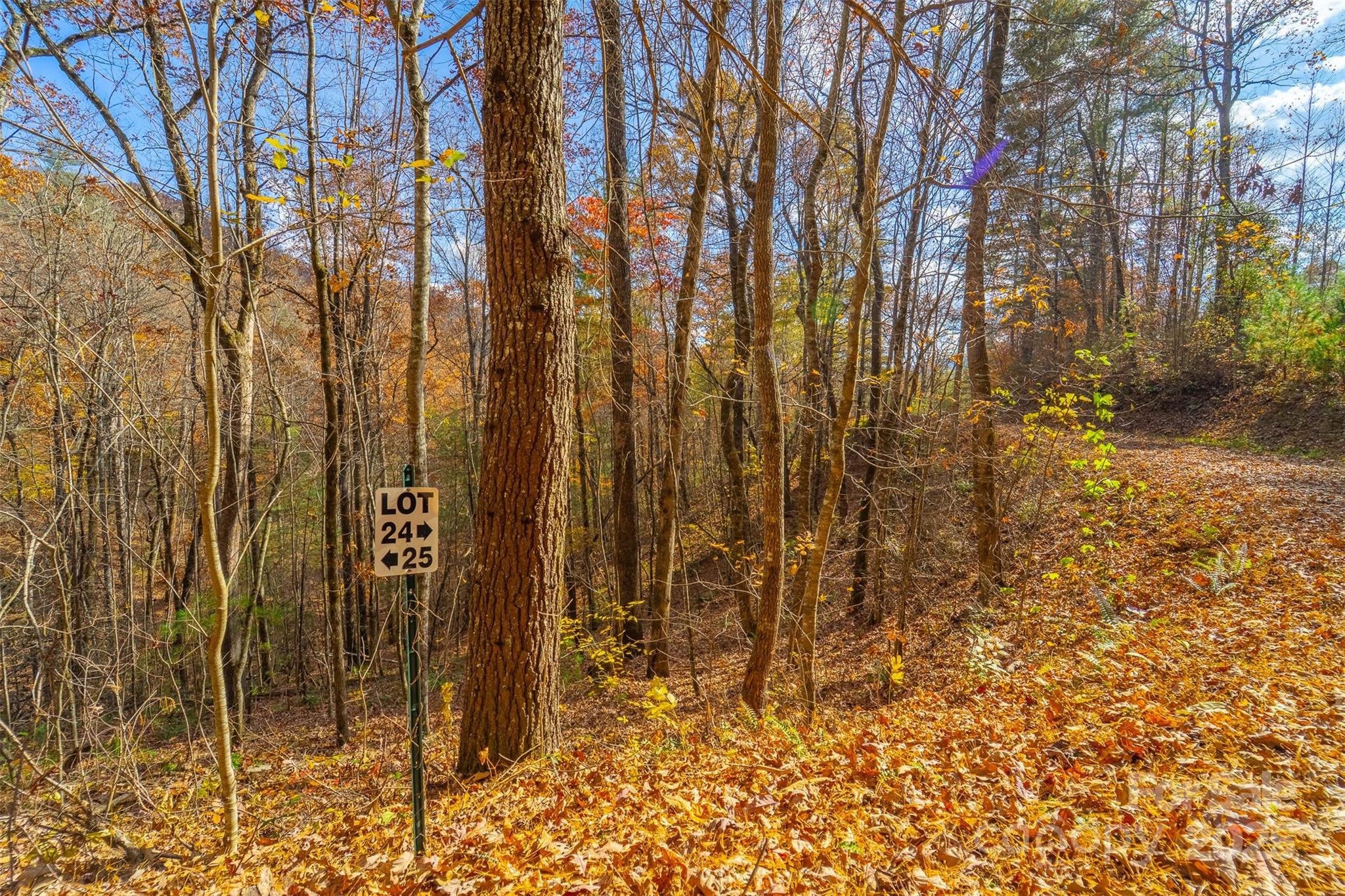 Lot 24 Rivers Edge Road Franklin NC 28734