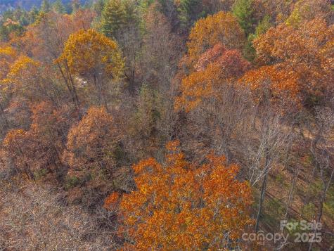 Lot 24 Rivers Edge Road Franklin NC 28734
