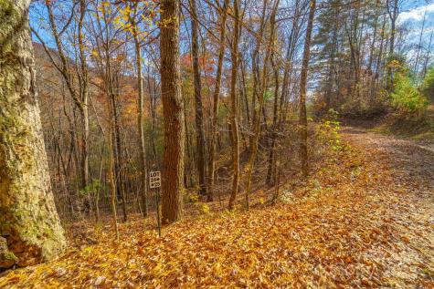 Lot 24 Rivers Edge Road Franklin NC 28734