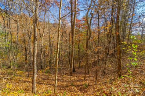 Lot 24 Rivers Edge Road Franklin NC 28734