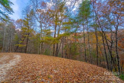 Lot 24 Rivers Edge Road Franklin NC 28734