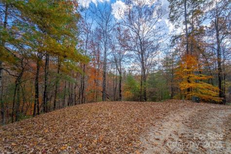 Lot 24 Rivers Edge Road Franklin NC 28734