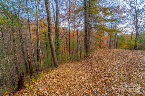 Lot 24 Rivers Edge Road Franklin NC 28734