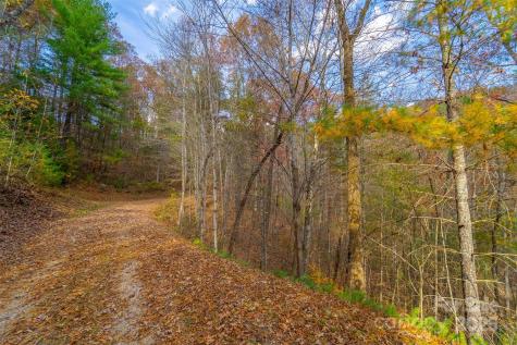 Lot 24 Rivers Edge Road Franklin NC 28734