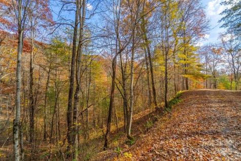 Lot 24 Rivers Edge Road Franklin NC 28734