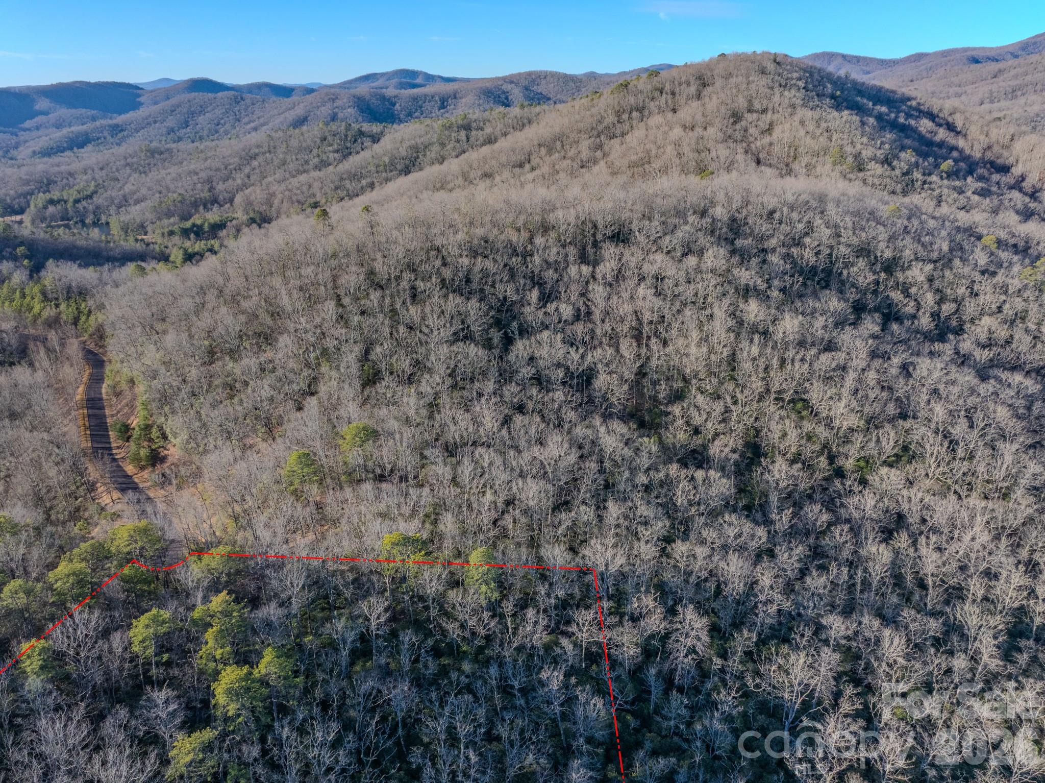 1647 Mills River Way Horse Shoe NC 28742