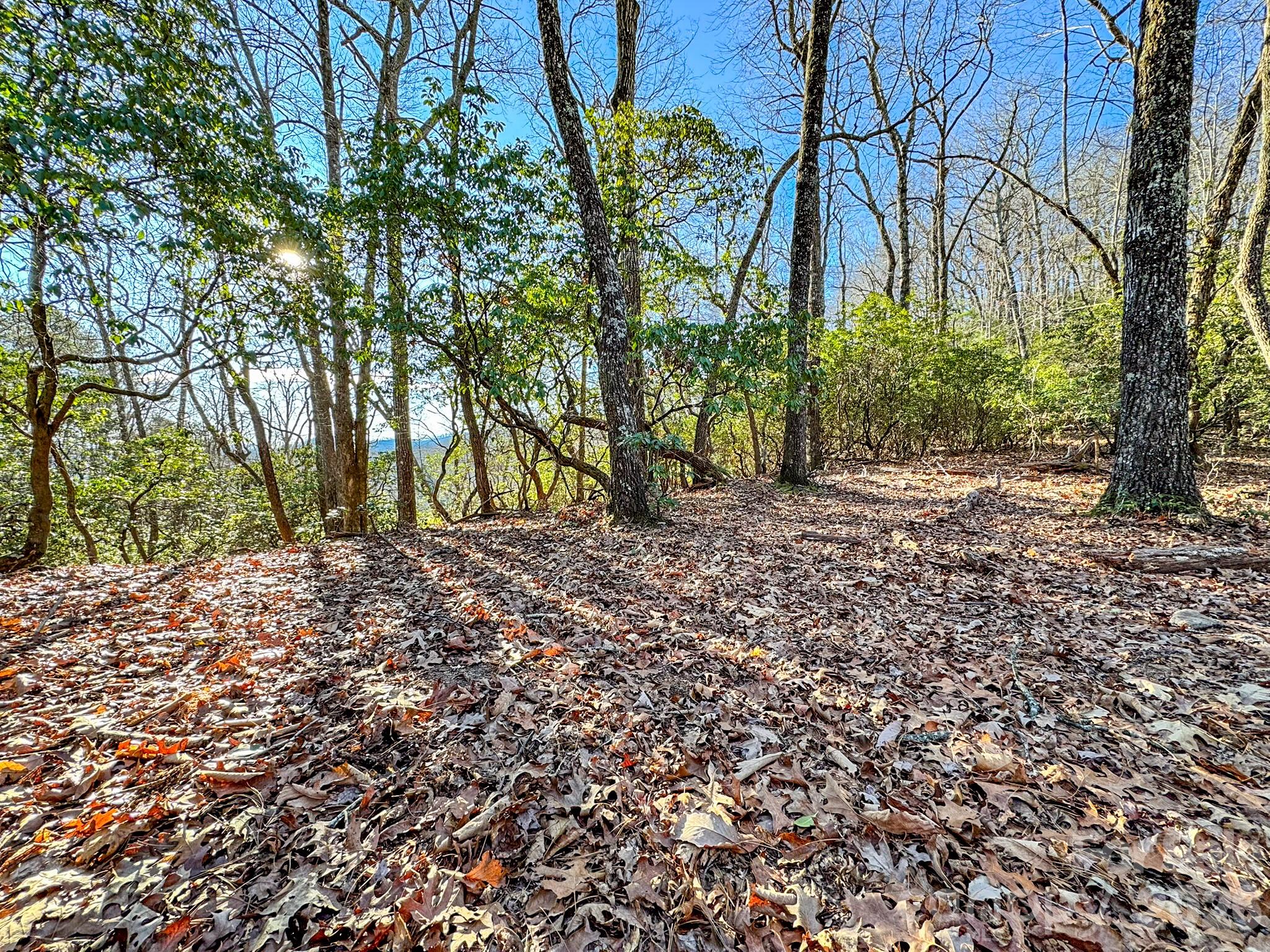1647 Mills River Way Horse Shoe NC 28742