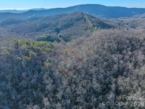 1647 Mills River Way Horse Shoe NC 28742