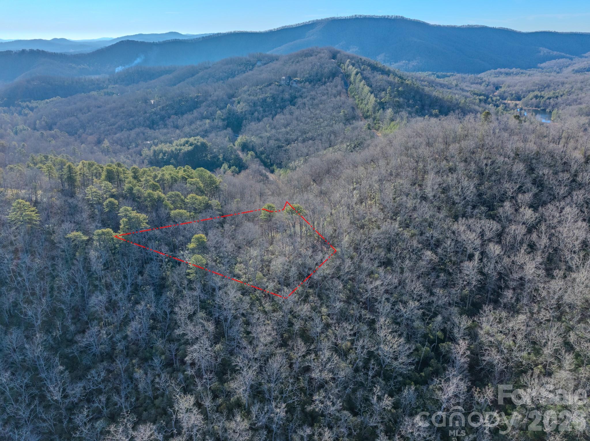 1647 Mills River Way Horse Shoe NC 28742