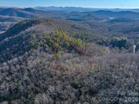 1647 Mills River Way Horse Shoe NC 28742